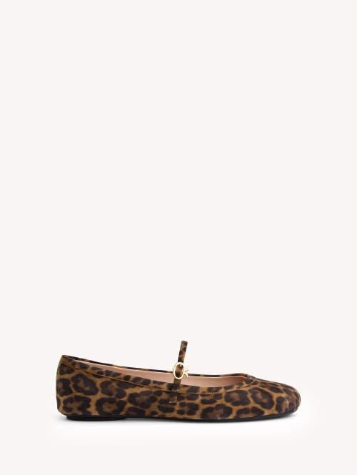 GIANVITO ROSSI Brown Carla Flats In Animal Print Product Image