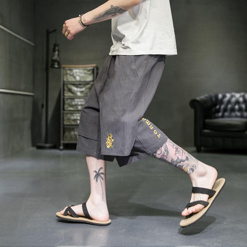 Drawstring Waist Embroidered Panel Shorts Product Image