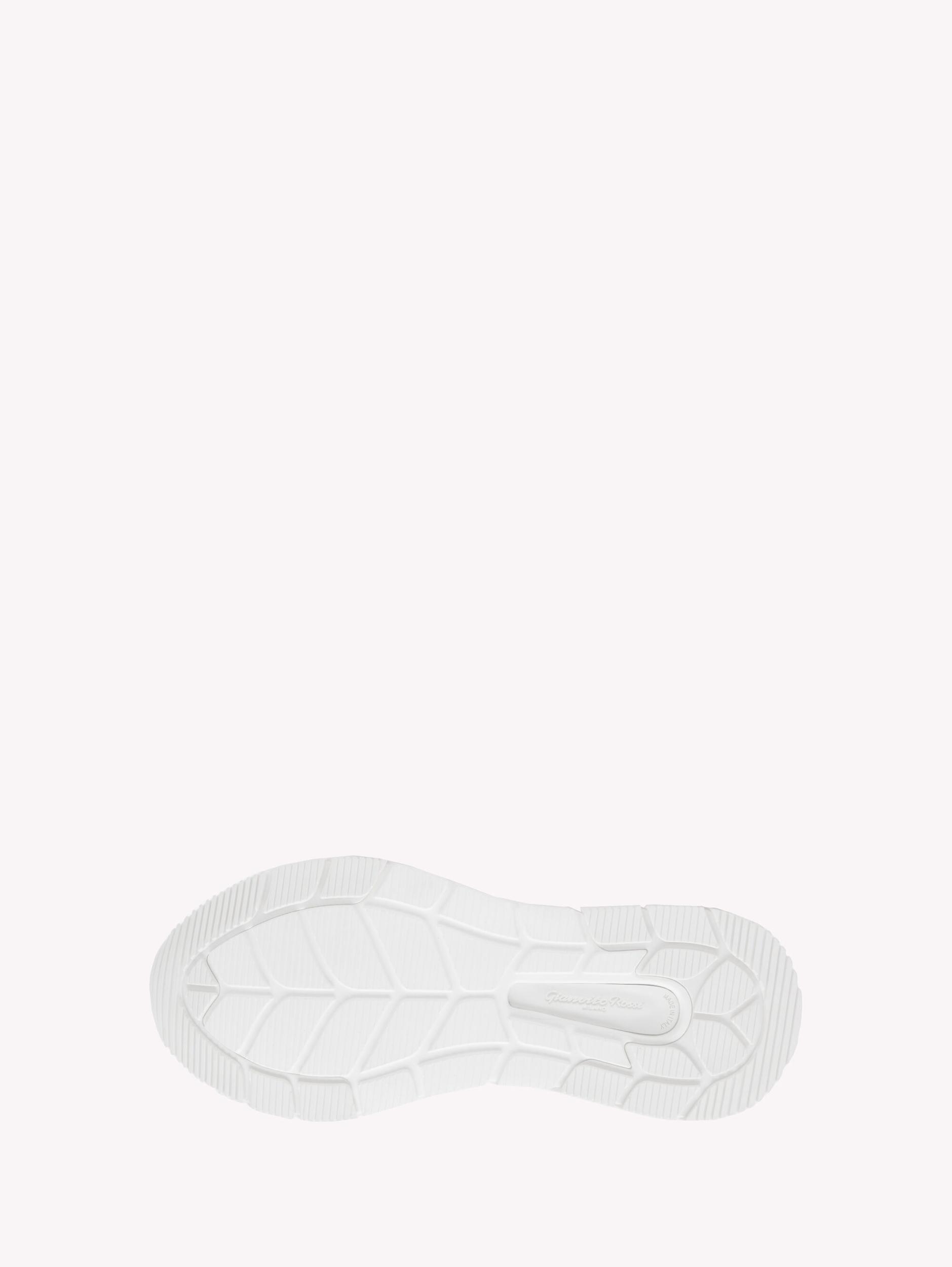 24 Gianvito Rossi Product Image