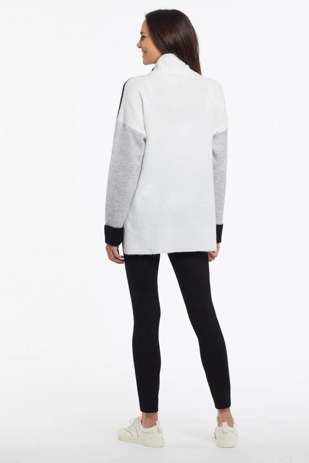 COLOR BLOCK TURTLENECK Product Image