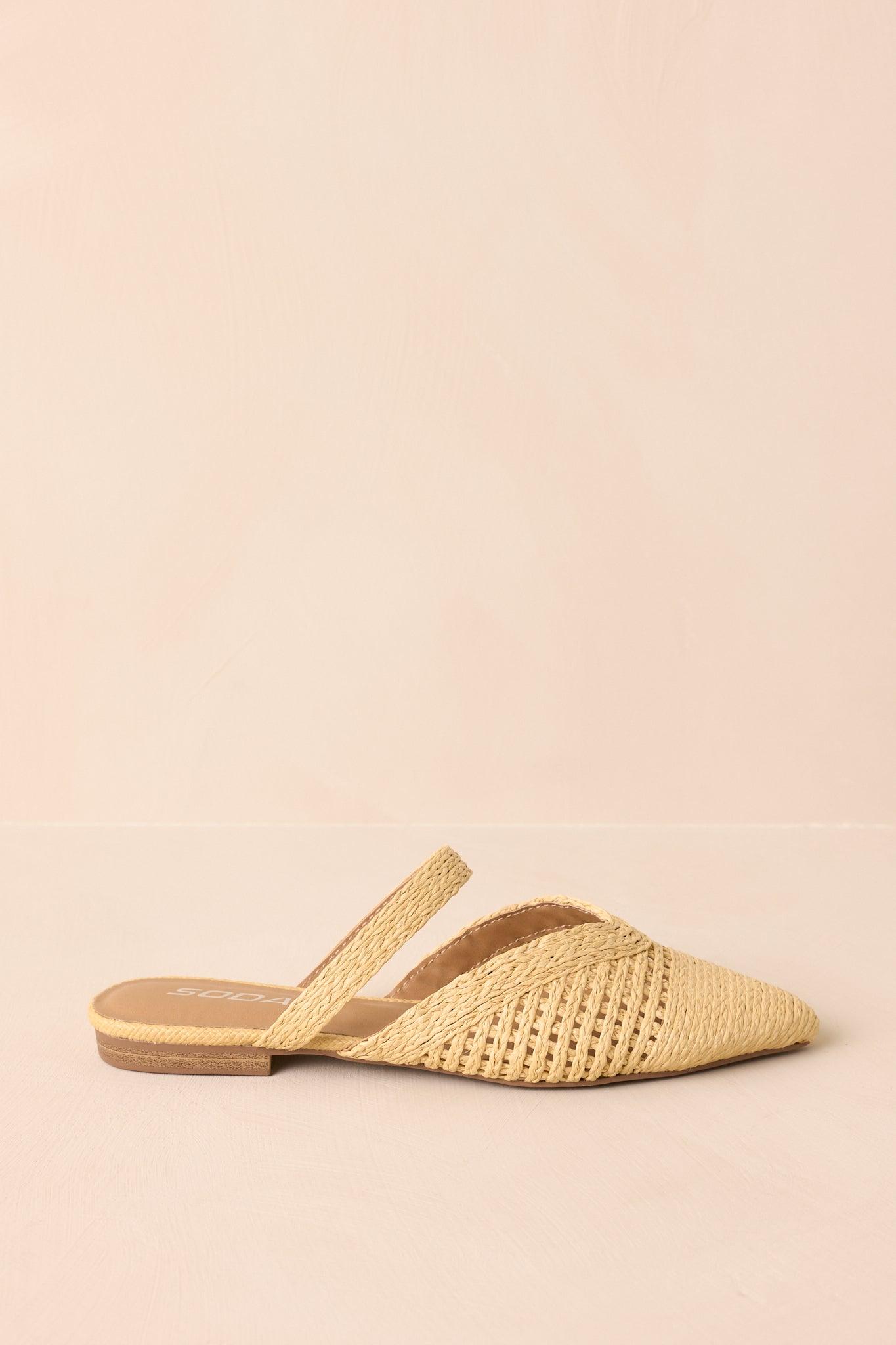 There She Goes Natural Pointed-Toe Woven Raffia Mules Product Image