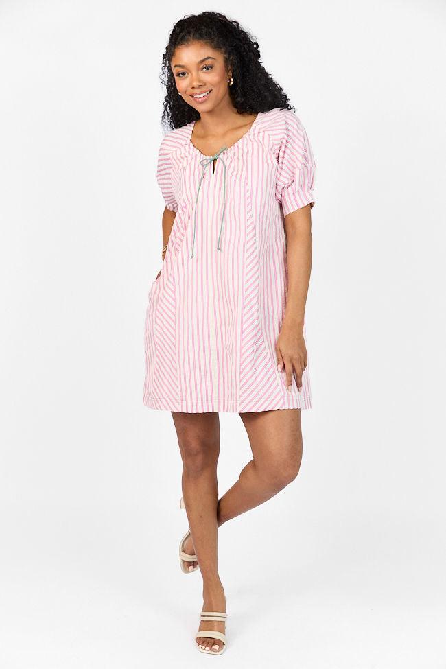 Set Free Pink Striped Panel Mini Dress FINAL SALE Product Image