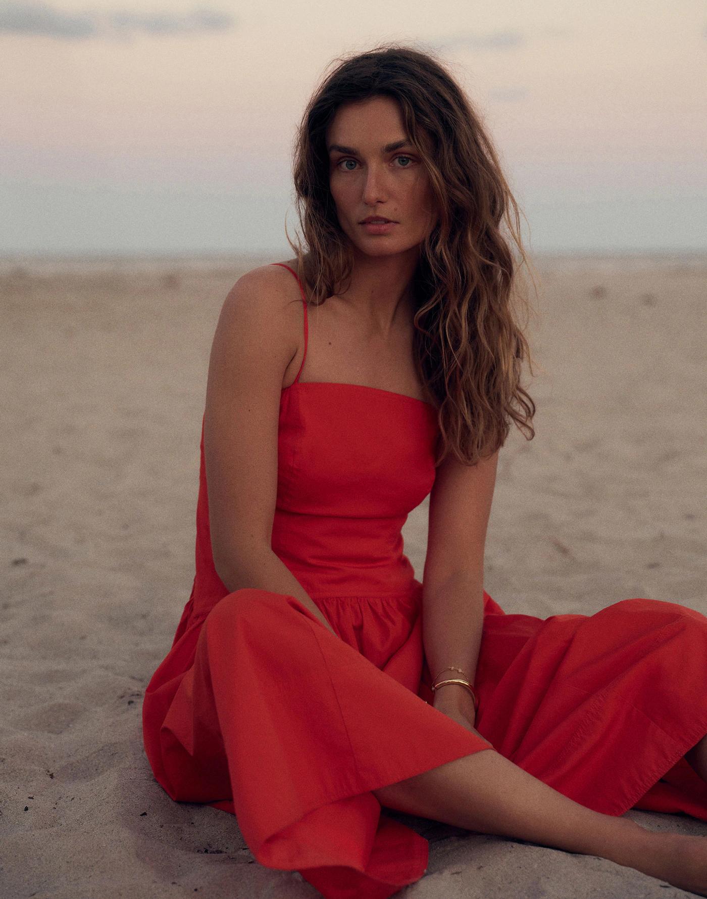 Petite Poplin Seamed Midi Dress Product Image