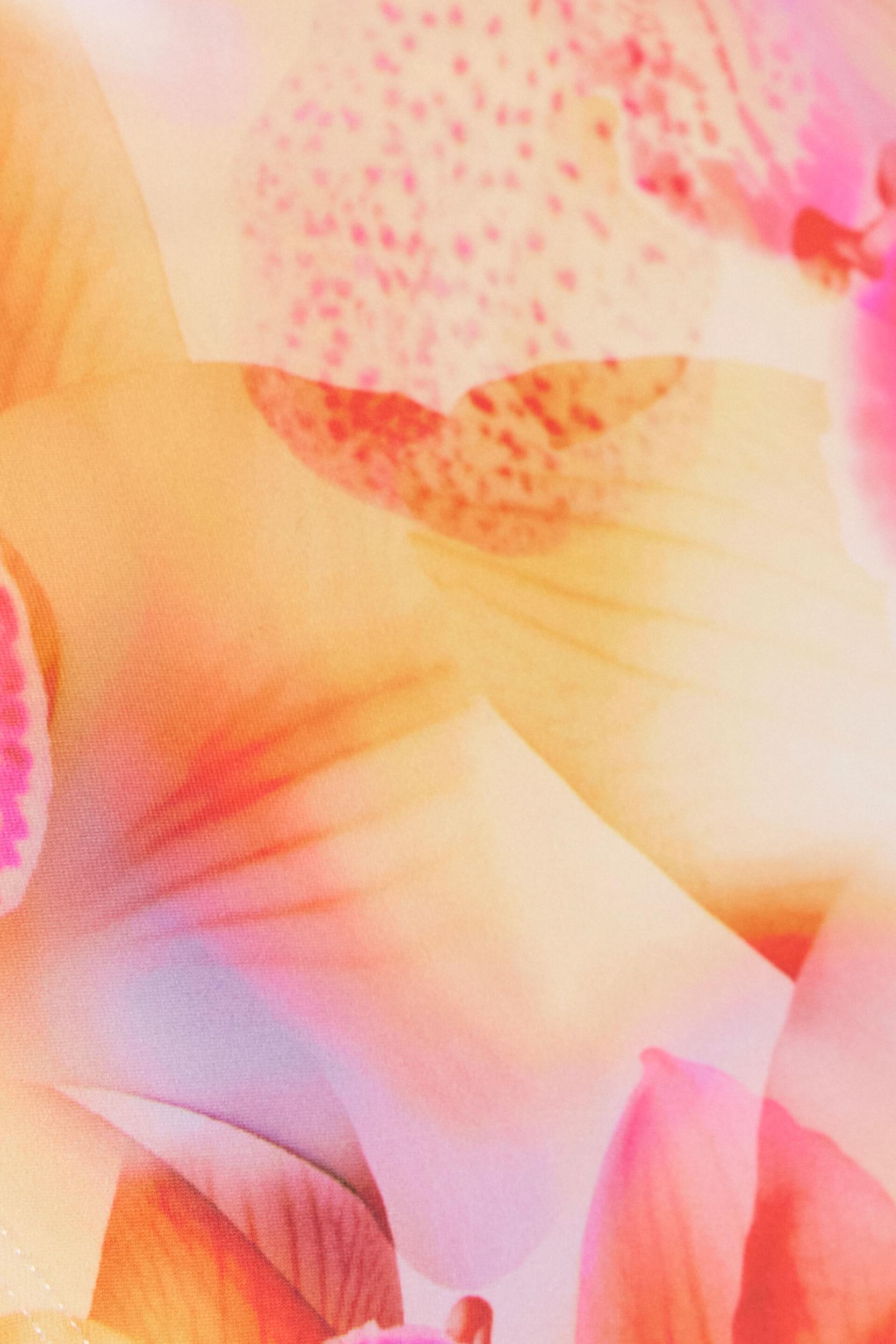 High Triangle Bikini Top Product Image