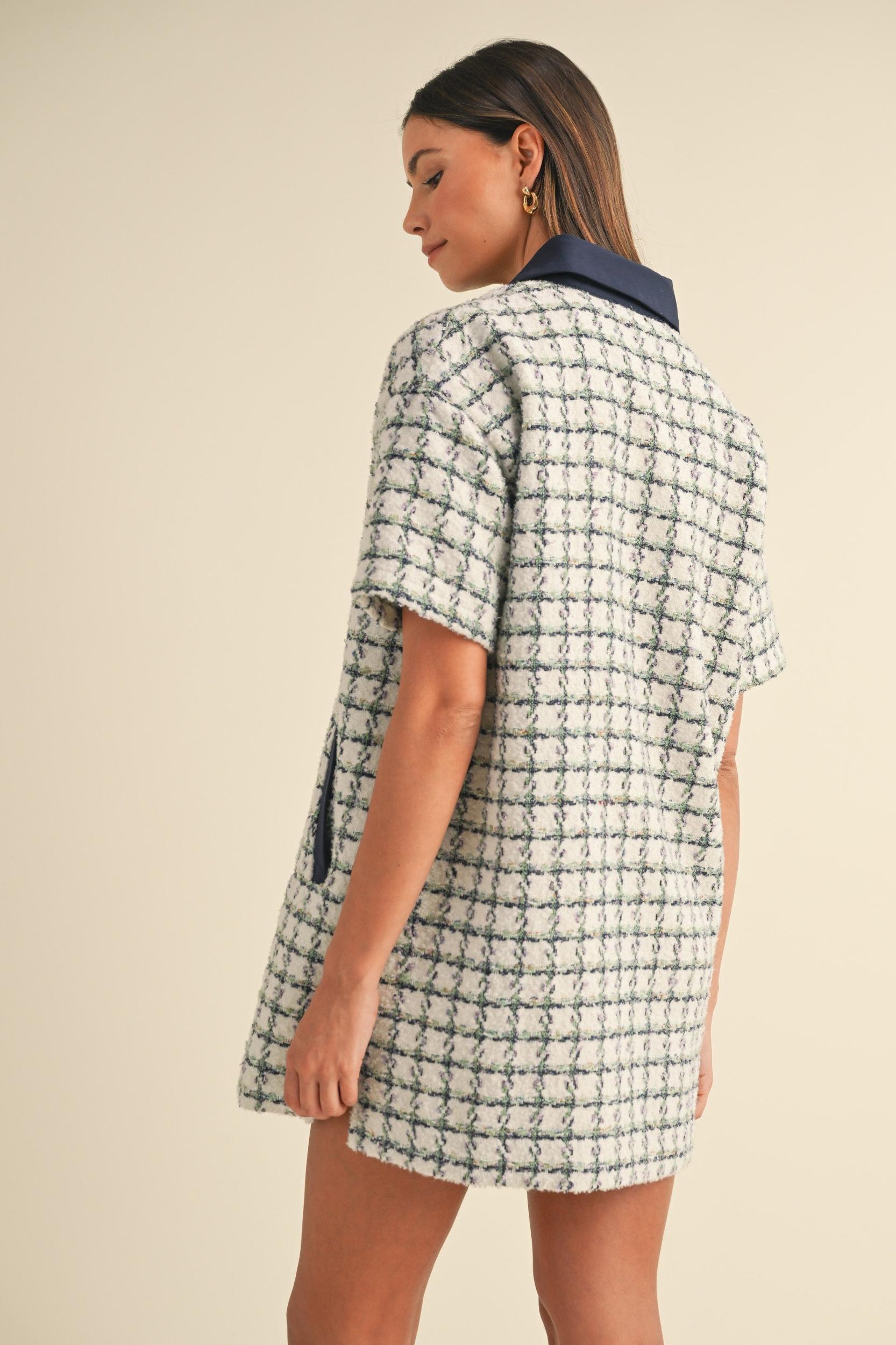 Collared Plaid Tweed Mini Dress Product Image