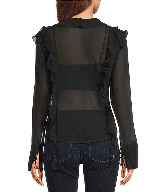 Emory Park Sheer Cascade Ruffle V-Neck Long Sleeve Blouse Product Image