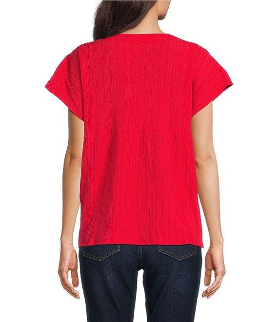 Calessa Embroidered Crinkle Split V-Neck Short Sleeve Top Product Image