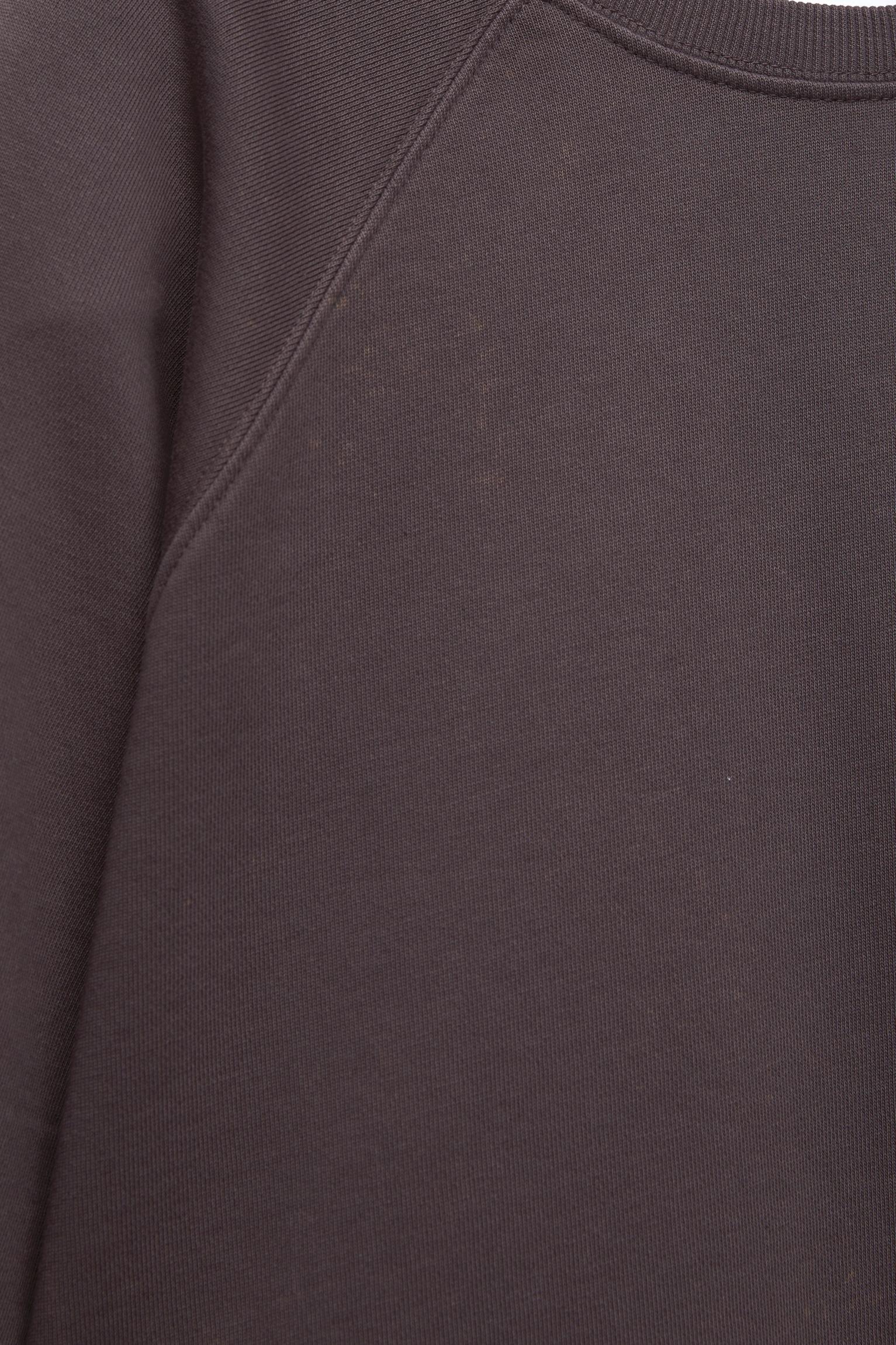 Short raglan sleeve sweatshirt Product Image