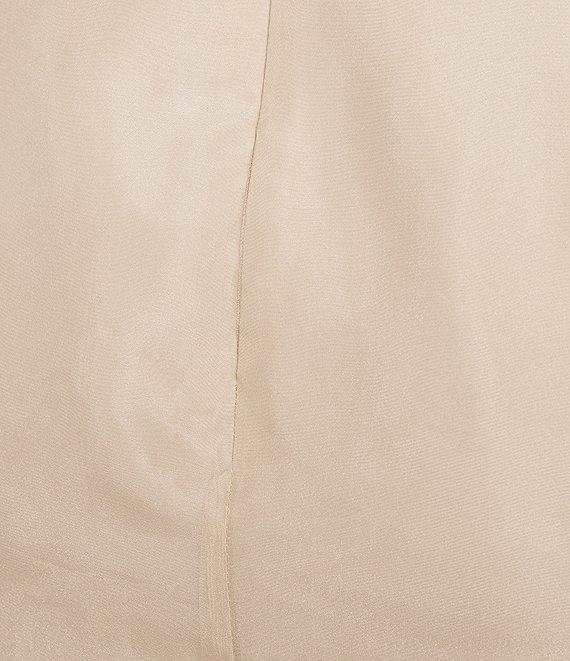 Antonio Melani Priscilla Coordinating Sheer Organza Midi Skirt Product Image