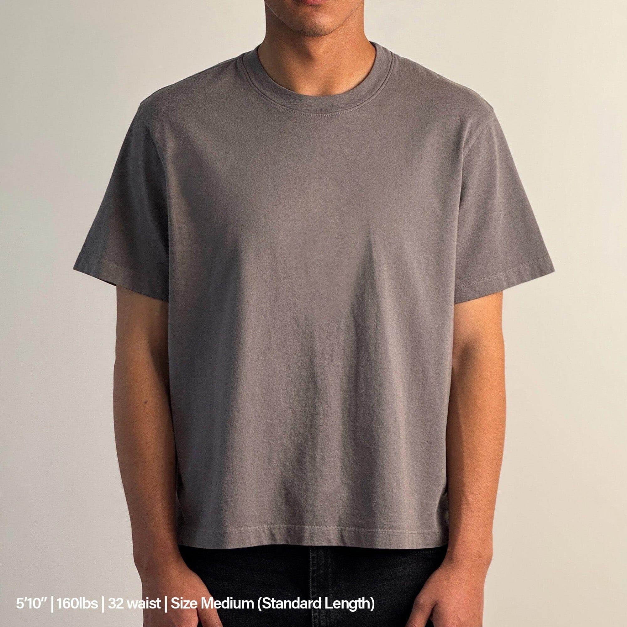Silverlake Crop Tee II Product Image