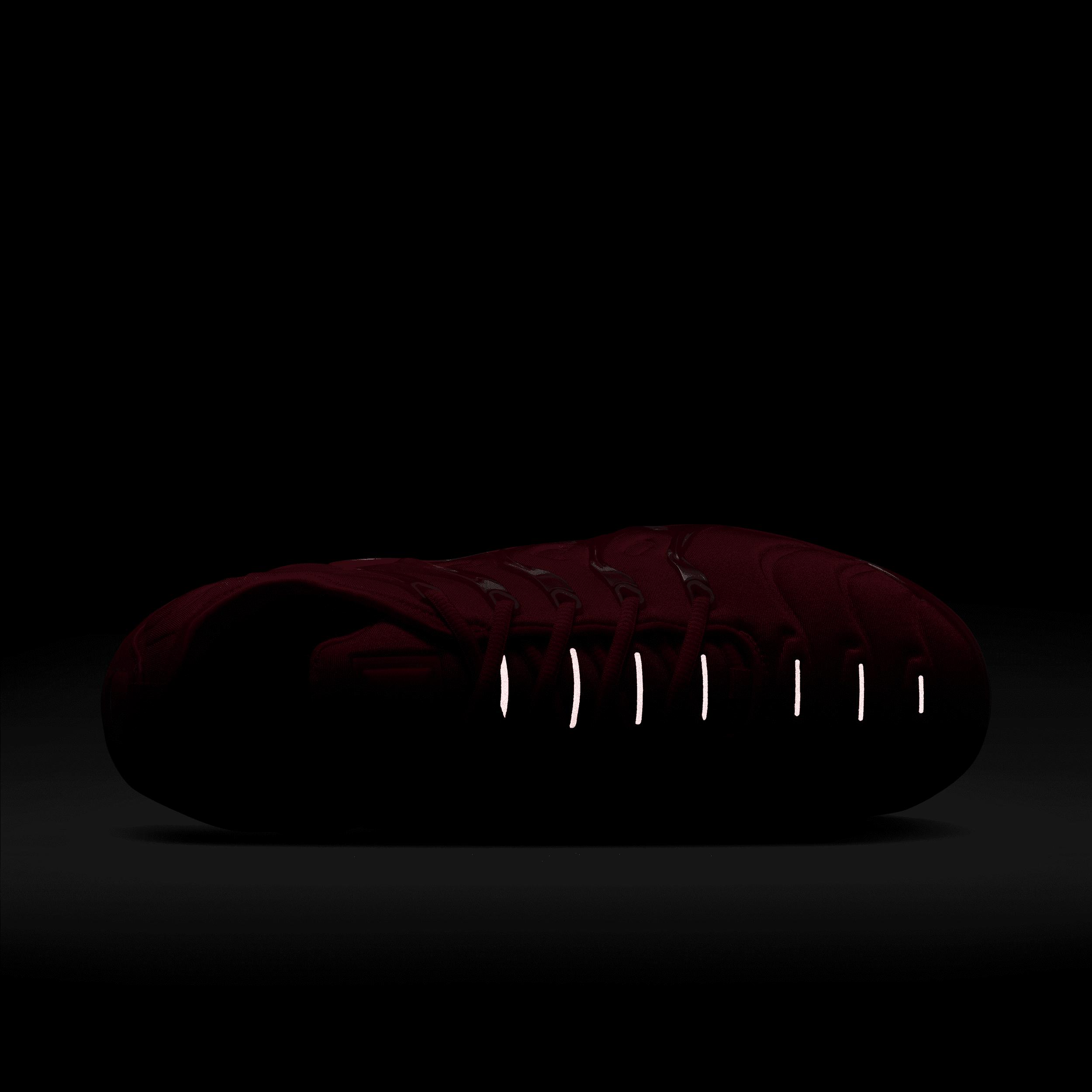 Nike Mens Air VaporMax Plus Shoes | CW6973-600 Product Image