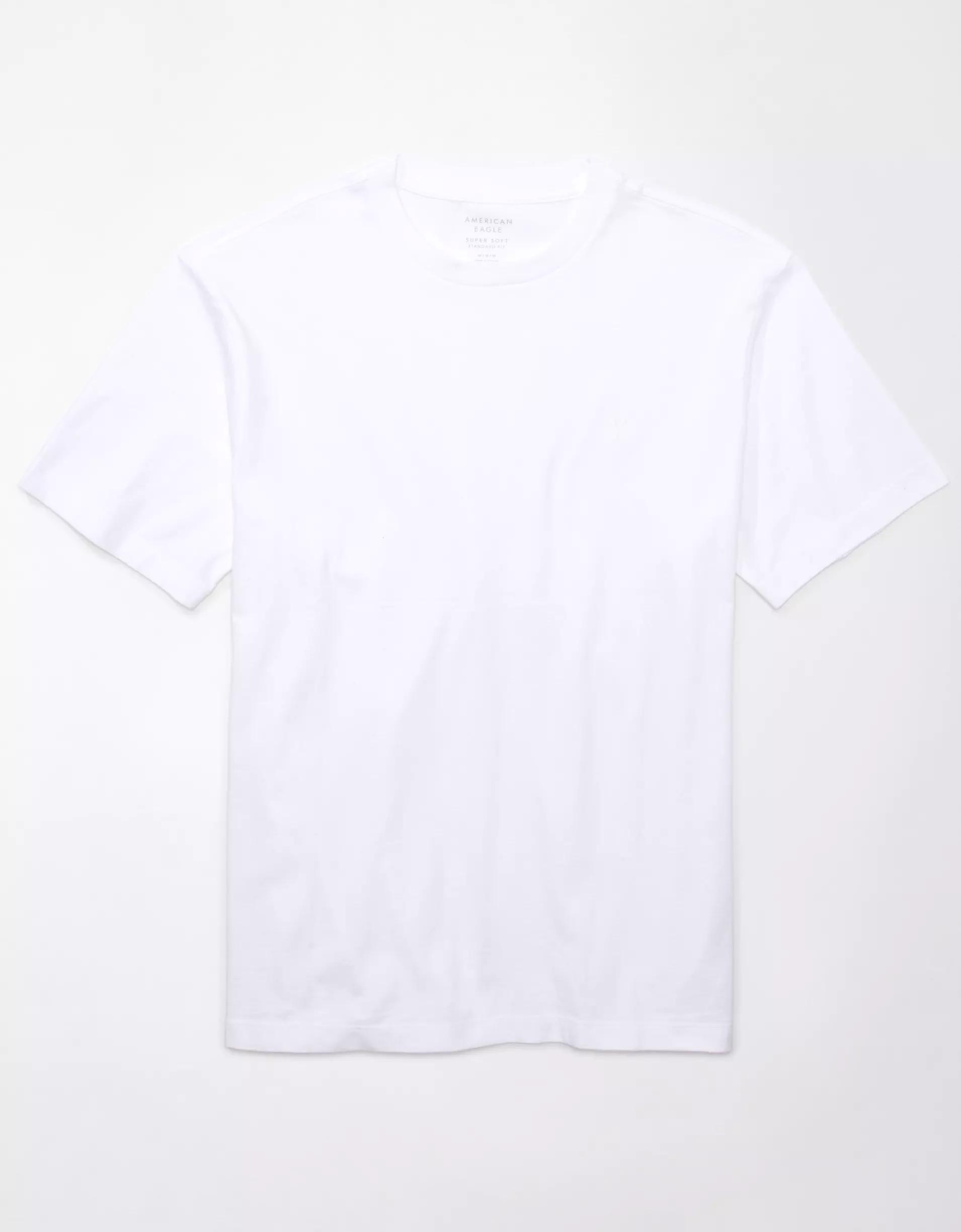 AE Logo Lived-In T-Shirt Product Image