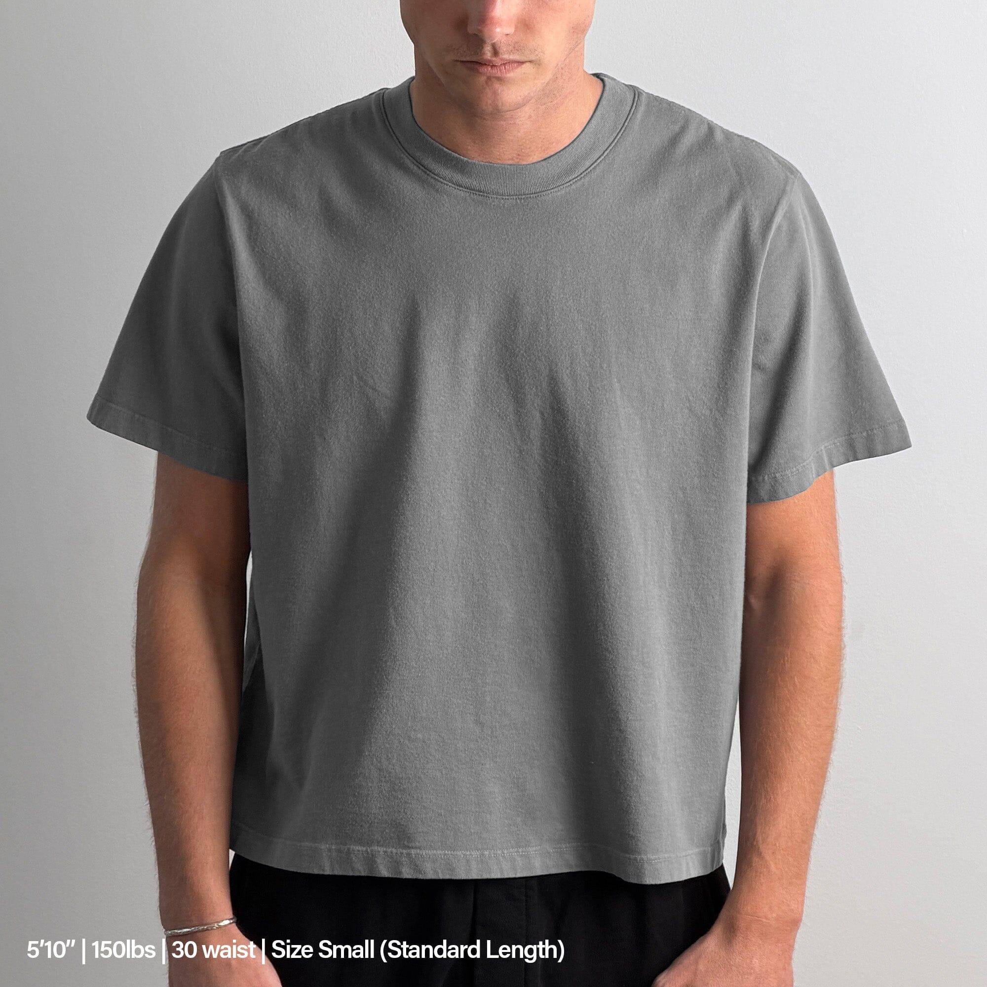 Silverlake Crop Tee II Product Image