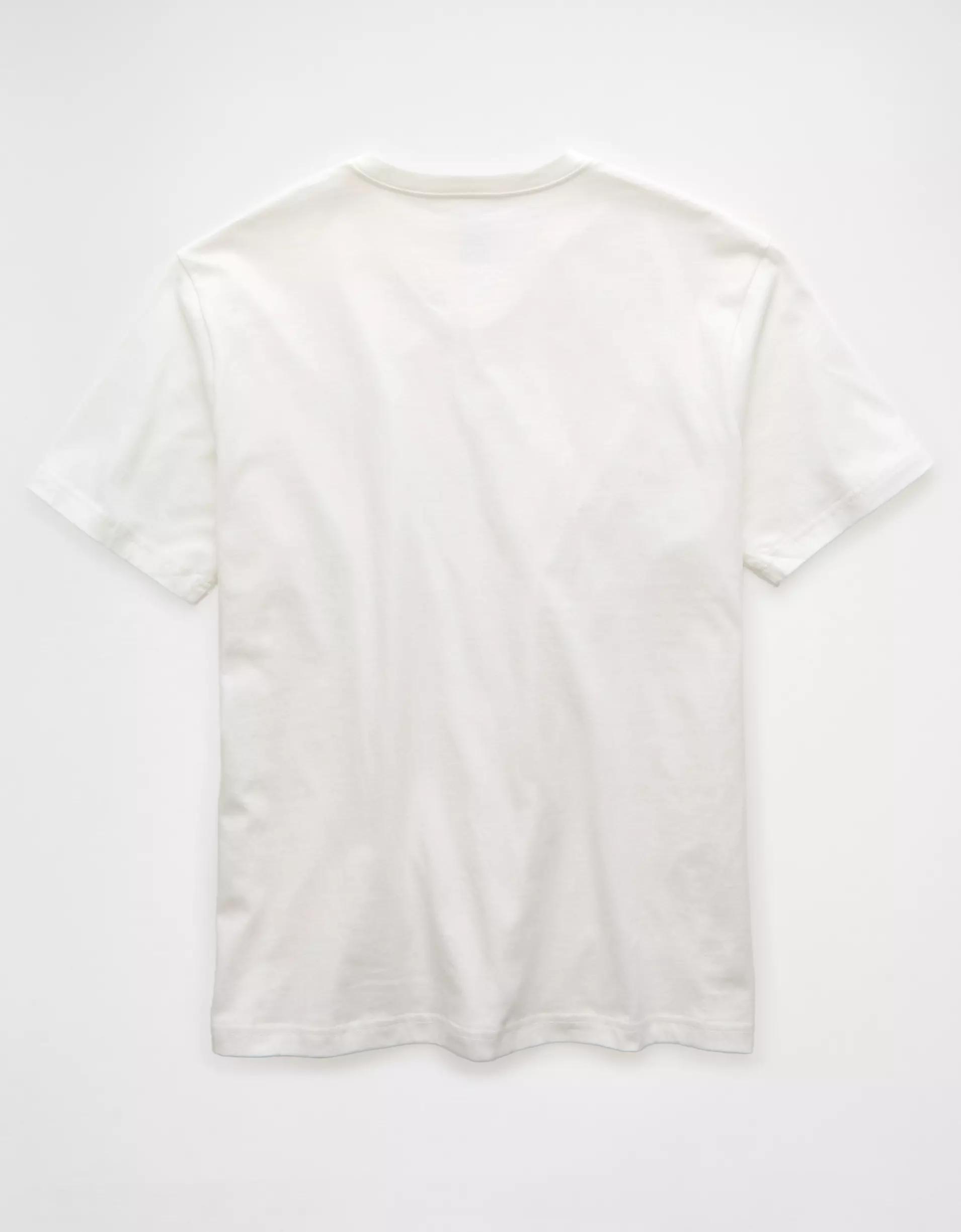 AE Lived-In V-Neck T-Shirt Product Image