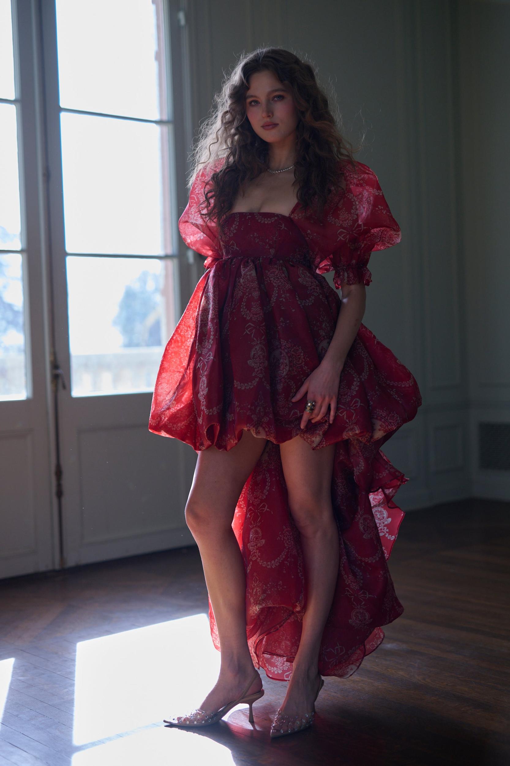 The Ornament Fairytale Gown Product Image