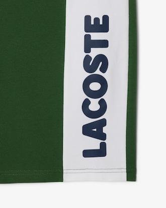 Straight Cut Fleece Loungewear Shorts Product Image