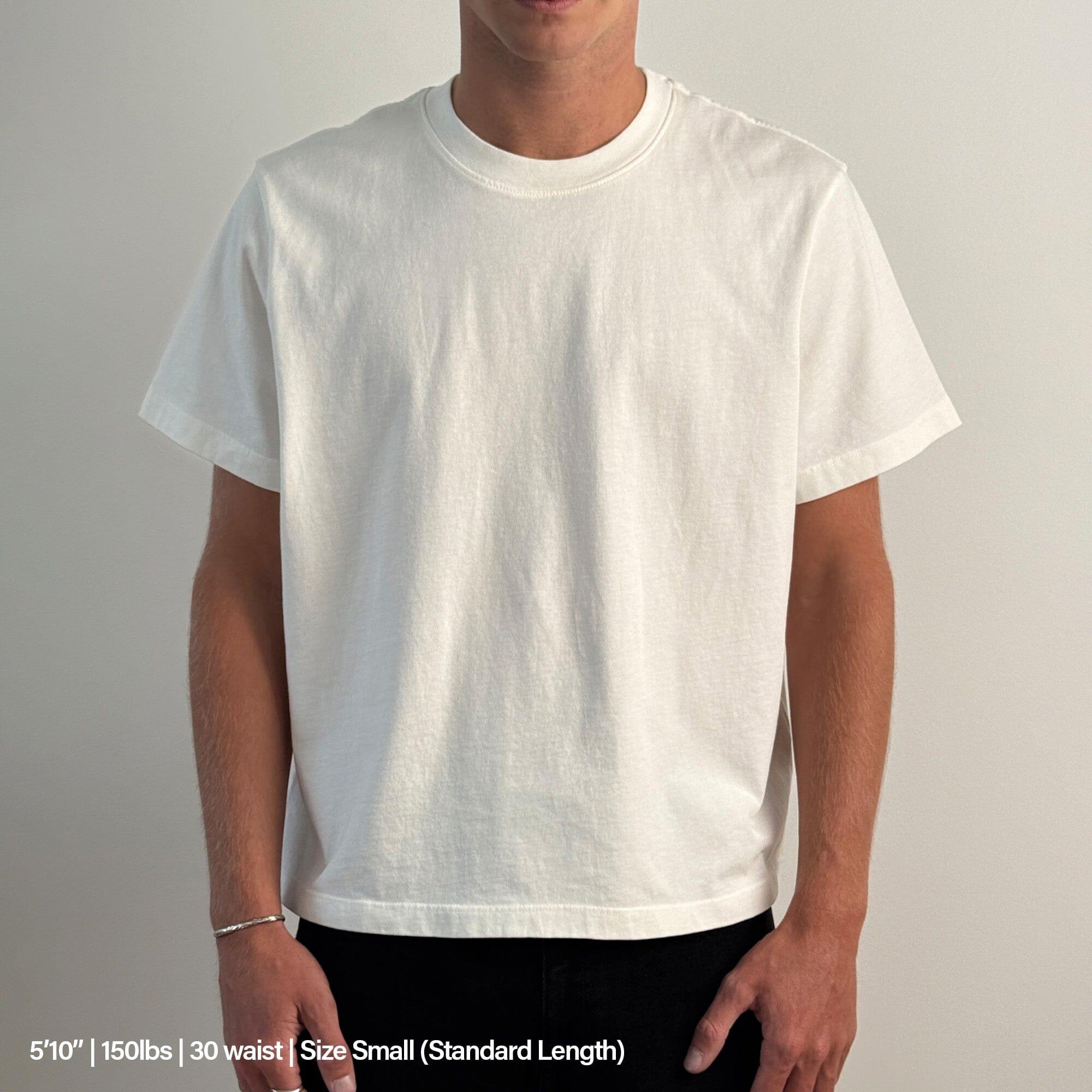 Silverlake Crop Tee II Product Image