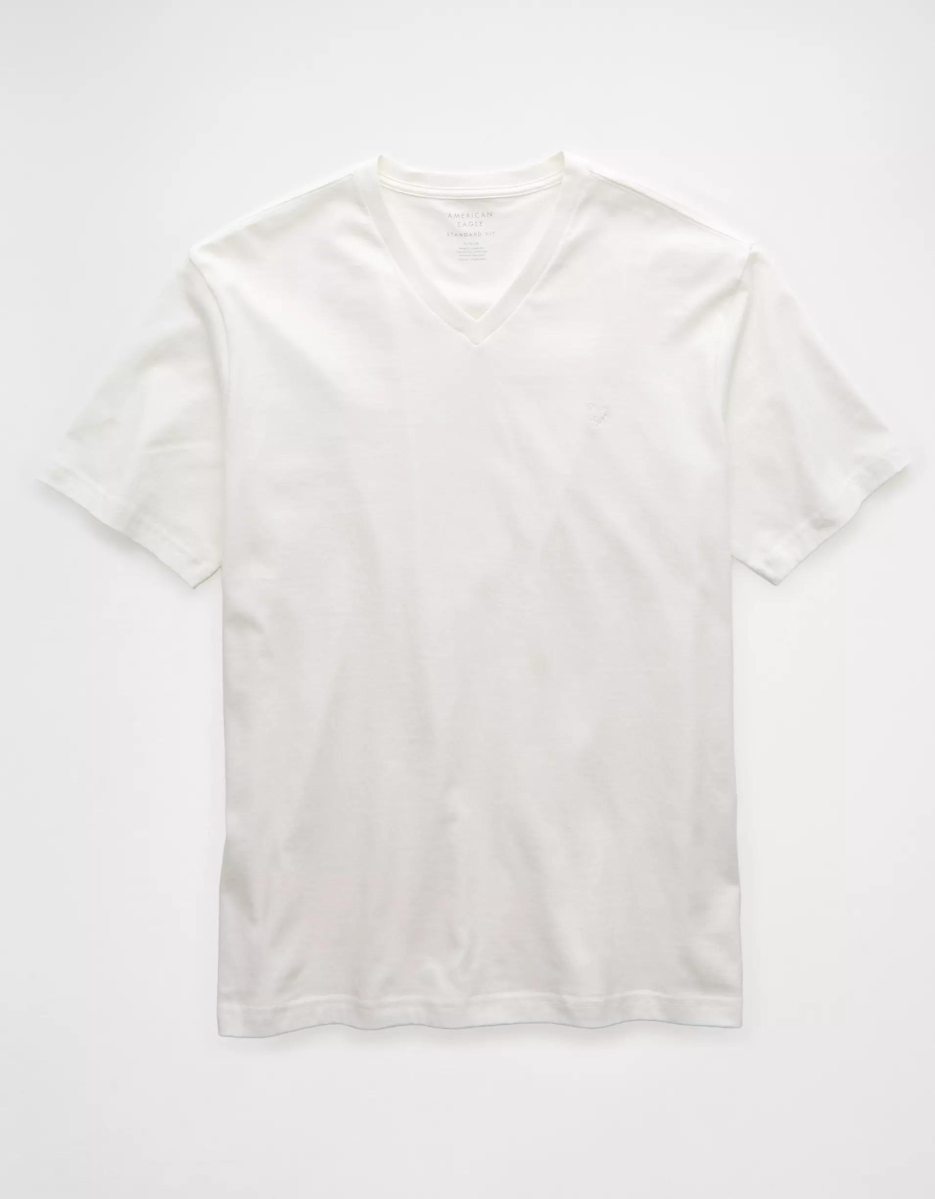 AE Lived-In V-Neck T-Shirt Product Image
