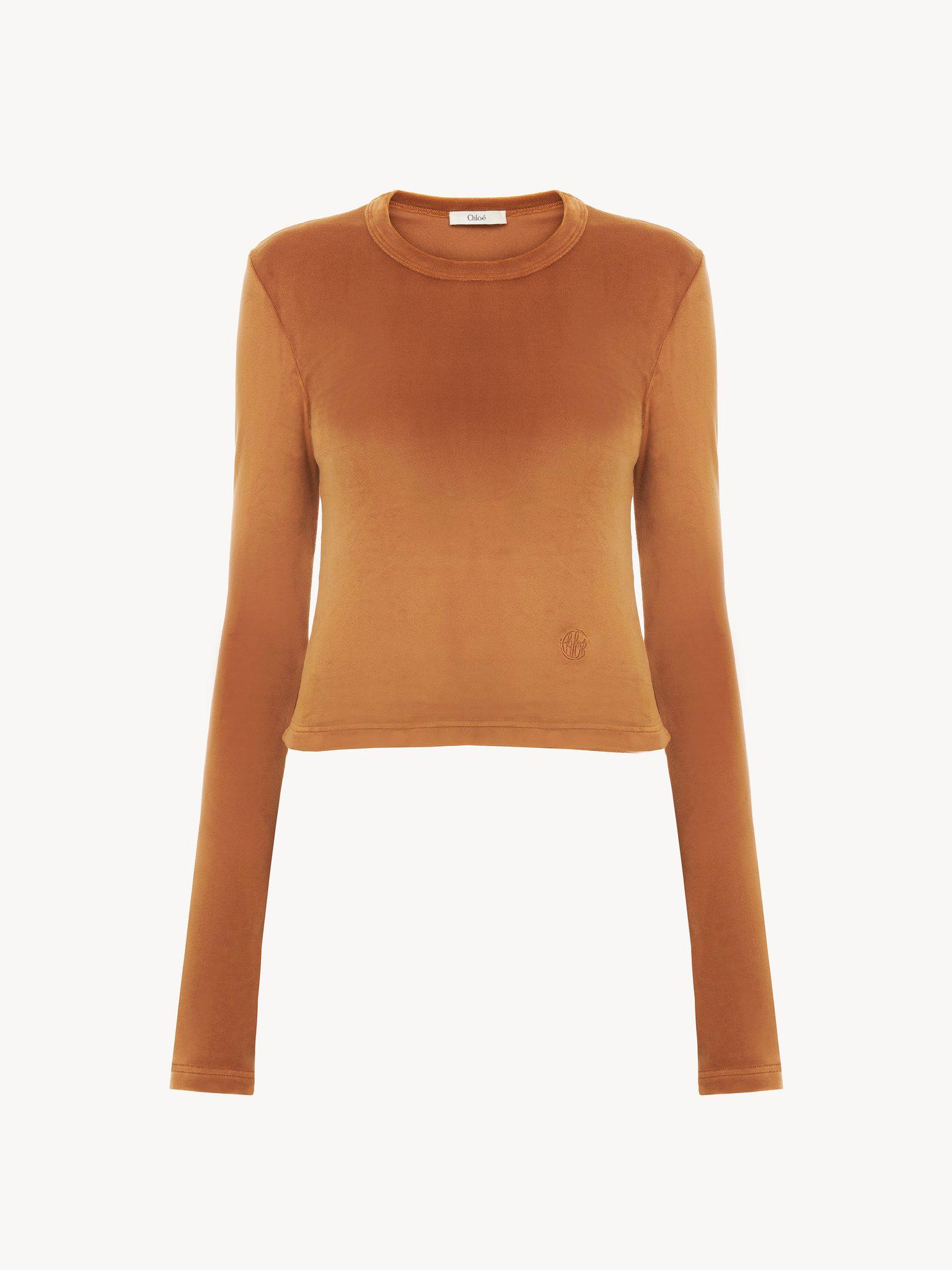 Long-sleeve top in velvet jersey Product Image