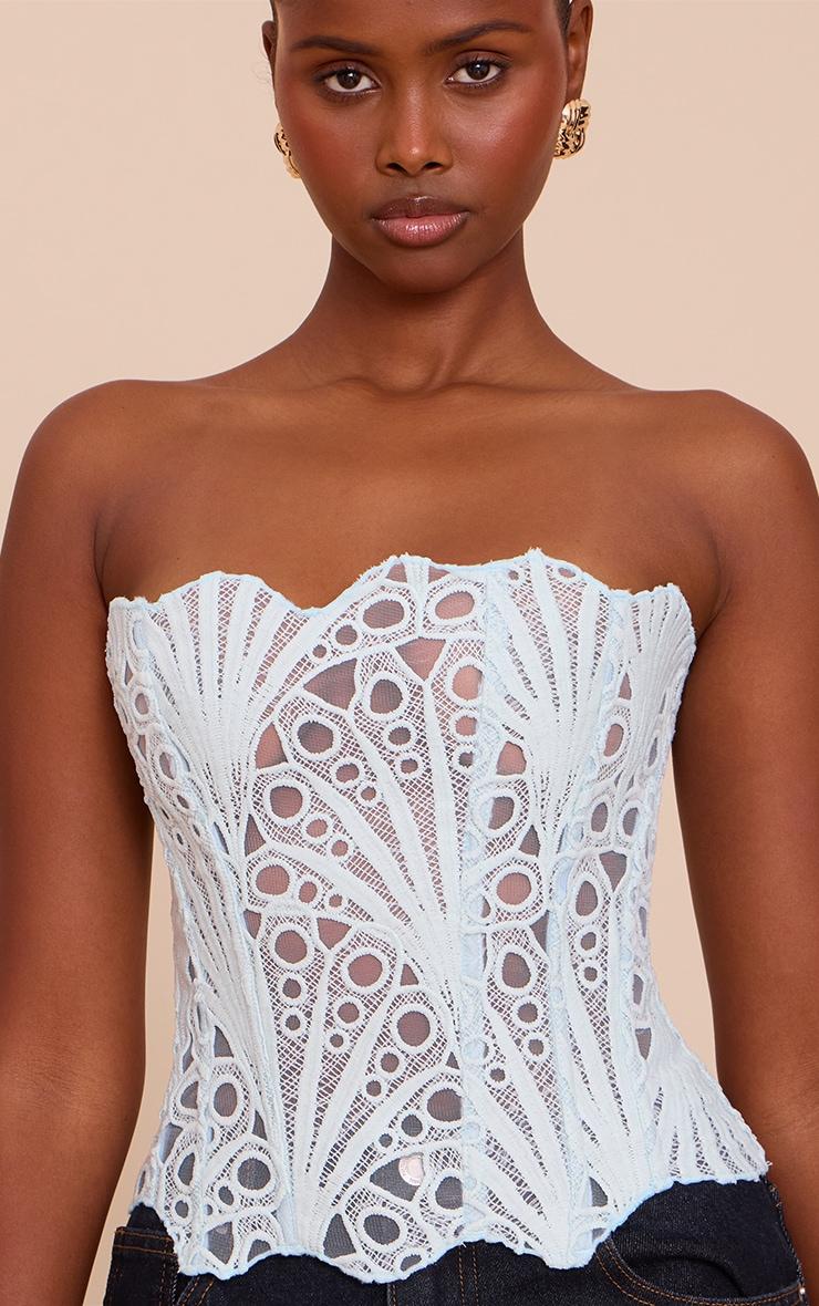 Mint Textured Sheer Floral Lace Corset Product Image