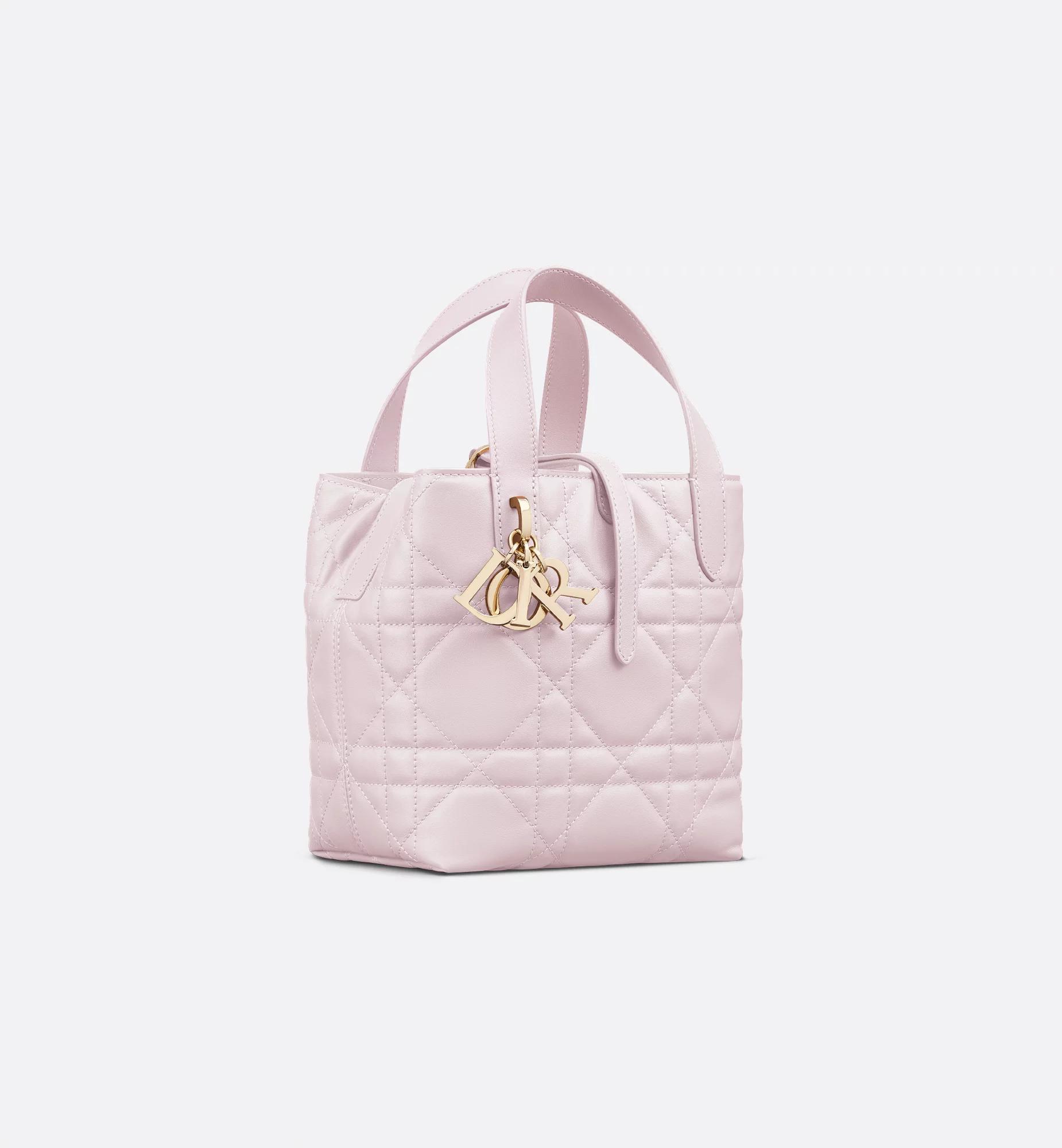 Small Dior Toujours Vertical Tote Bag Product Image