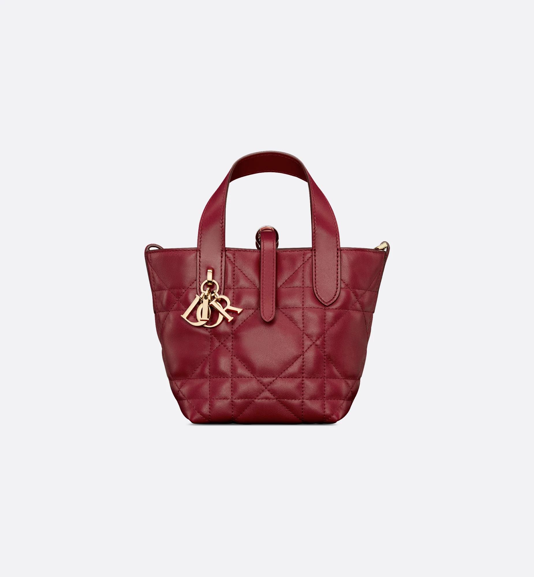 Dior Toujours Vertical Nano Tote Bag Product Image