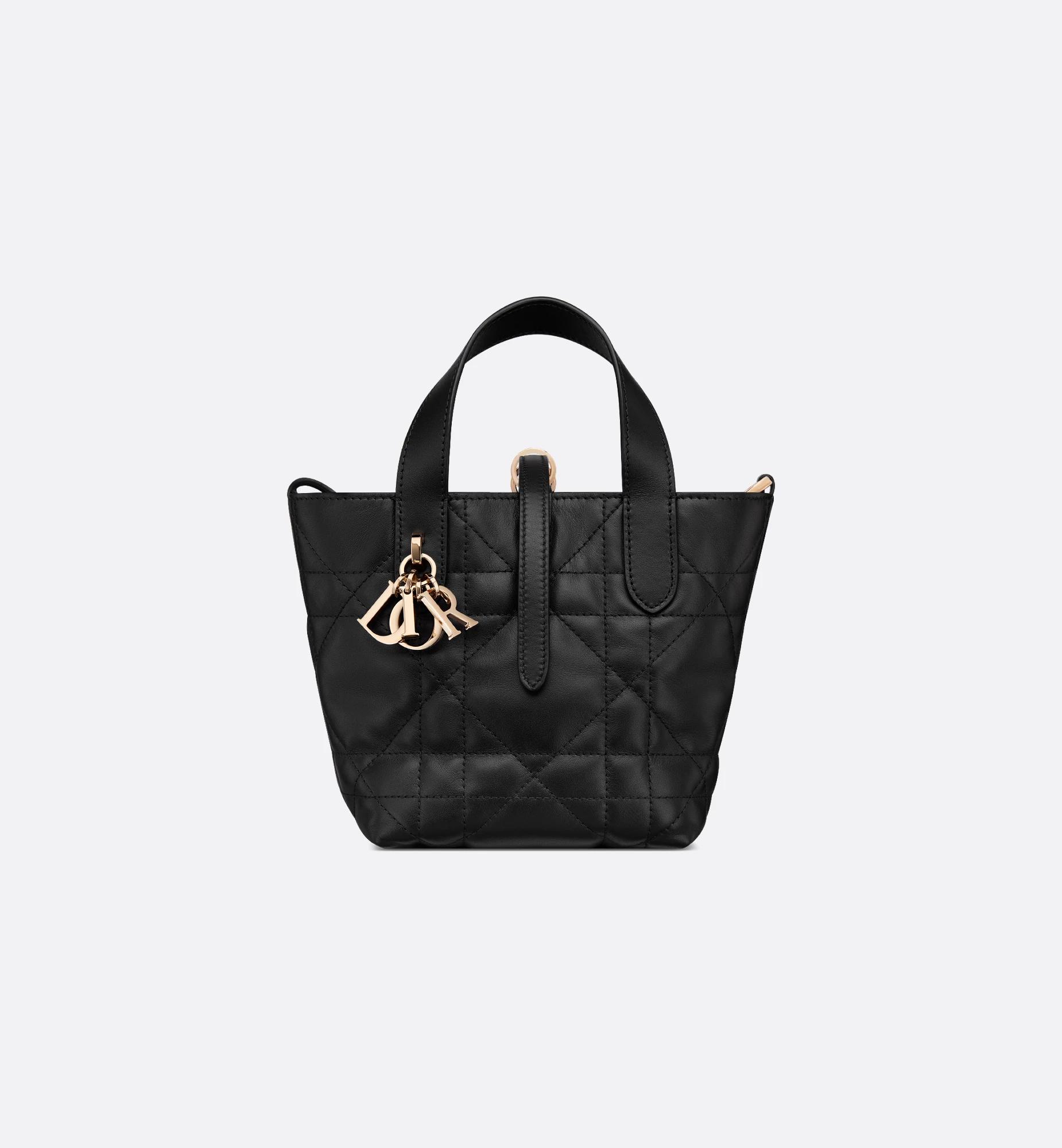Dior Toujours Vertical Nano Tote Bag Product Image