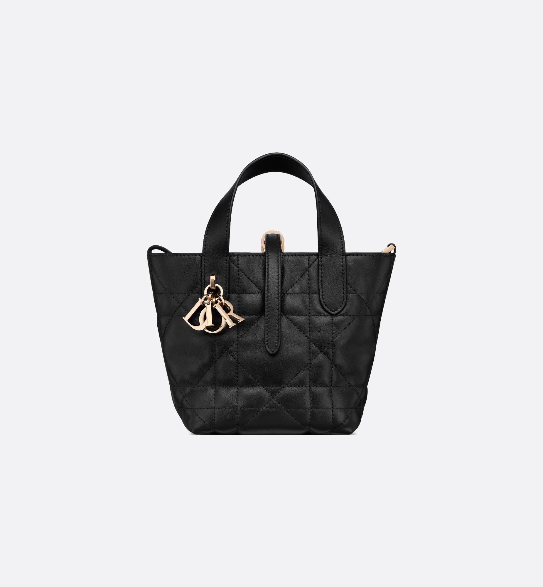 Dior Toujours Vertical Nano Tote Bag Product Image