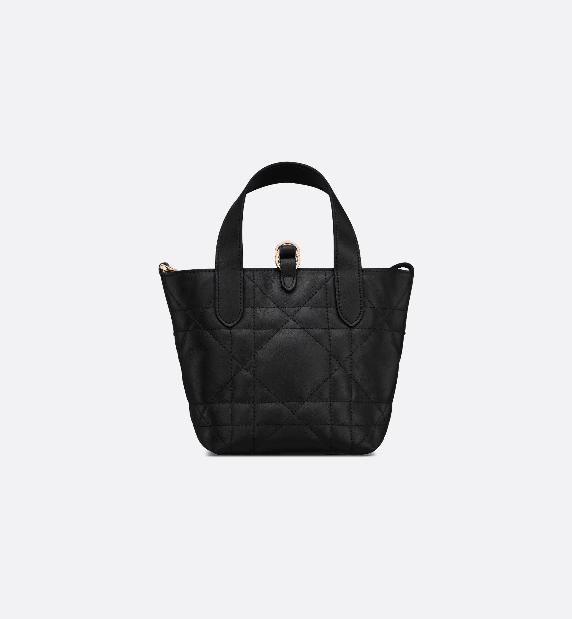 Dior Toujours Vertical Nano Tote Bag Product Image