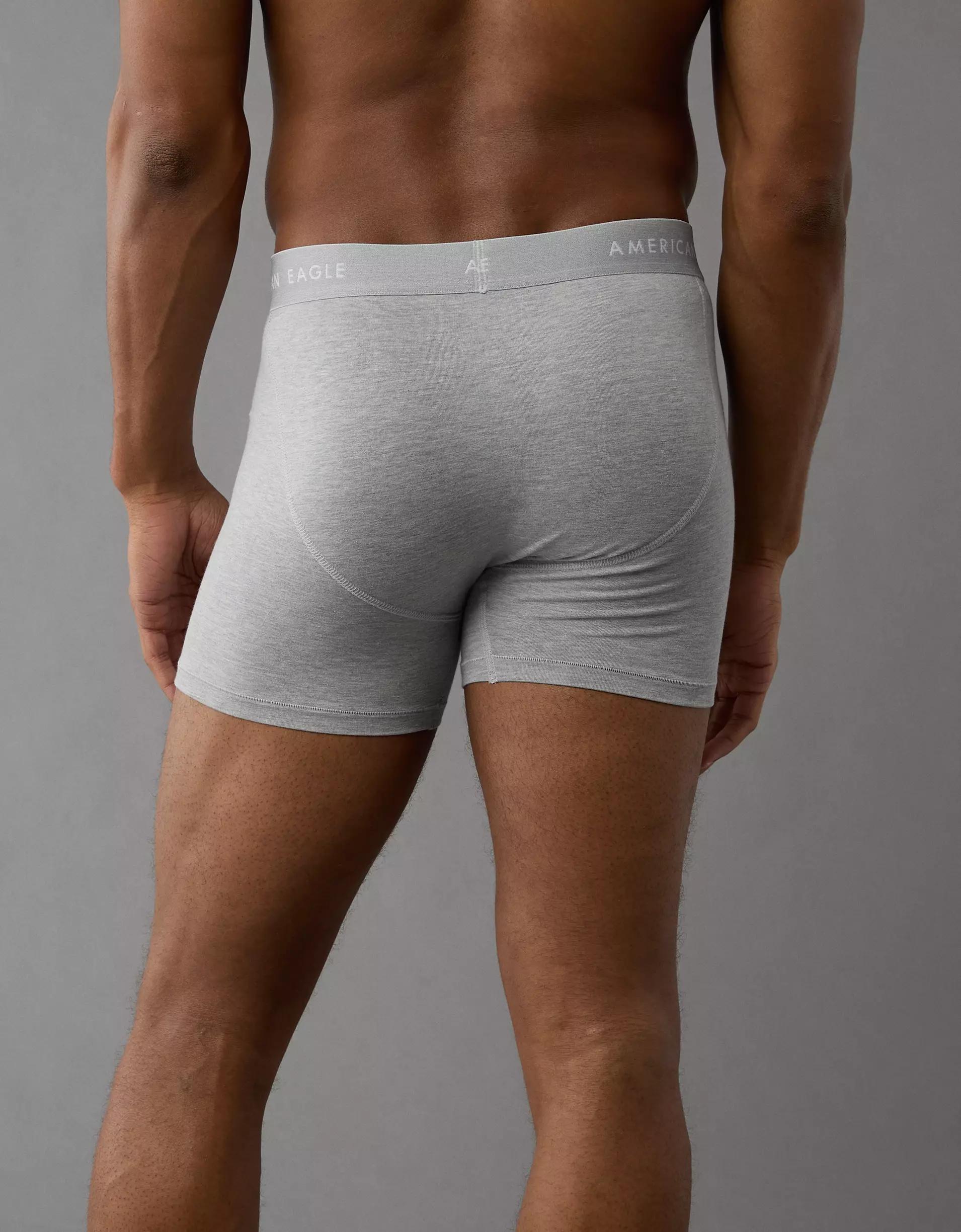 AEO Men's 4.5" Classic Boxer Brief Product Image