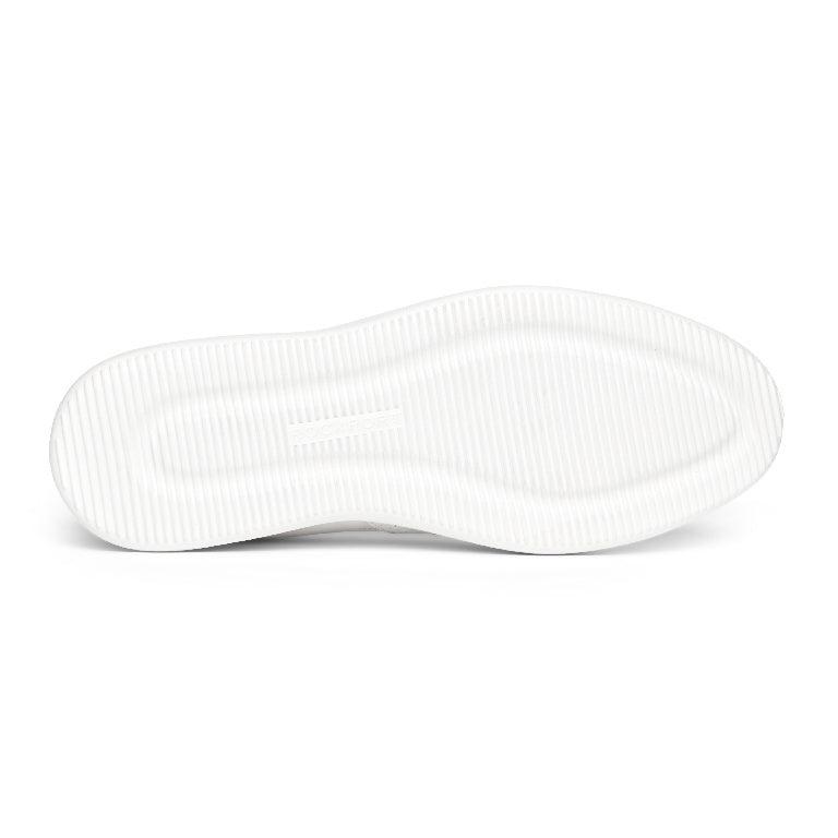 Men's Colle Lace-to-Toe Sneaker Product Image