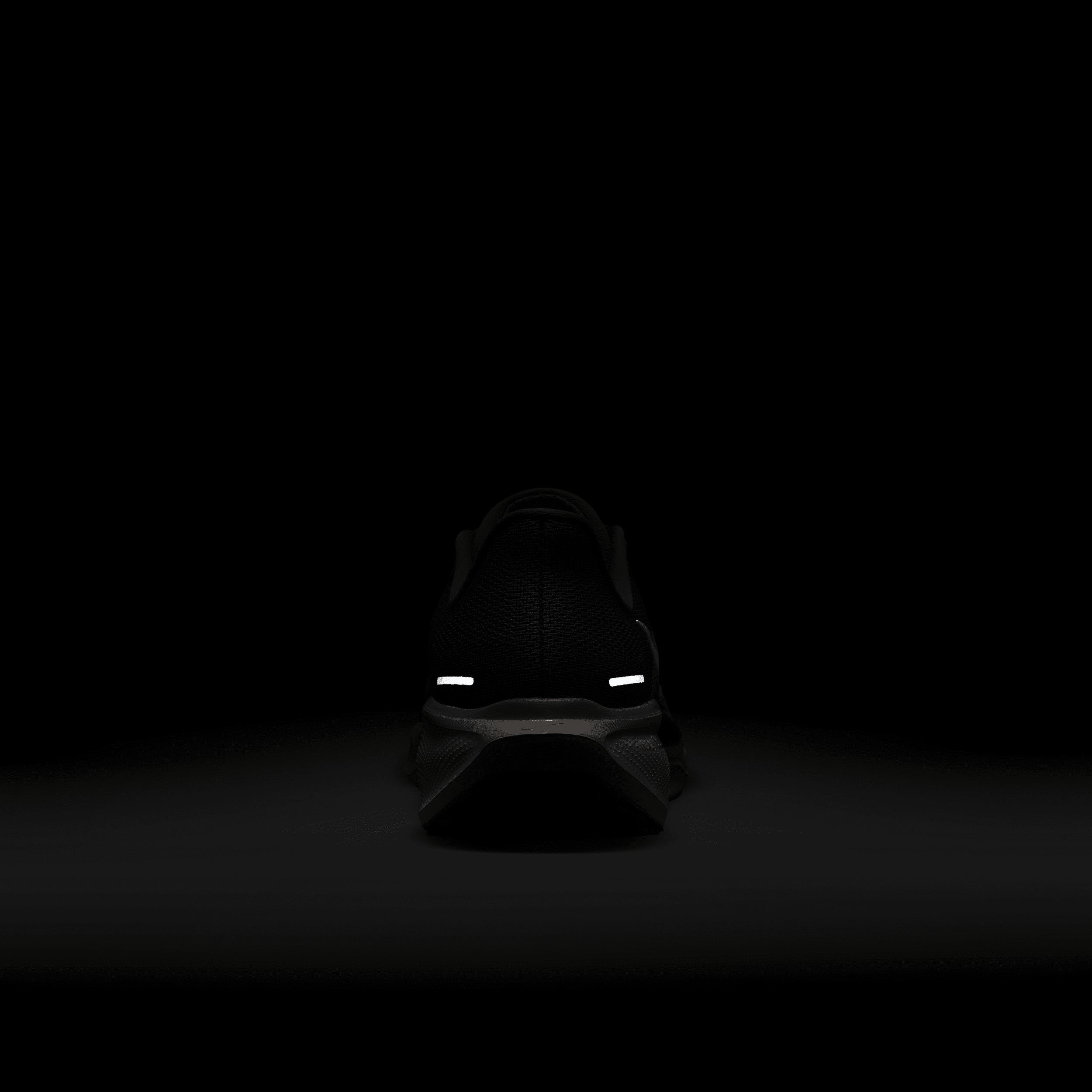 FAMU Pegasus 41 Men's Nike College Road Running Shoes Product Image