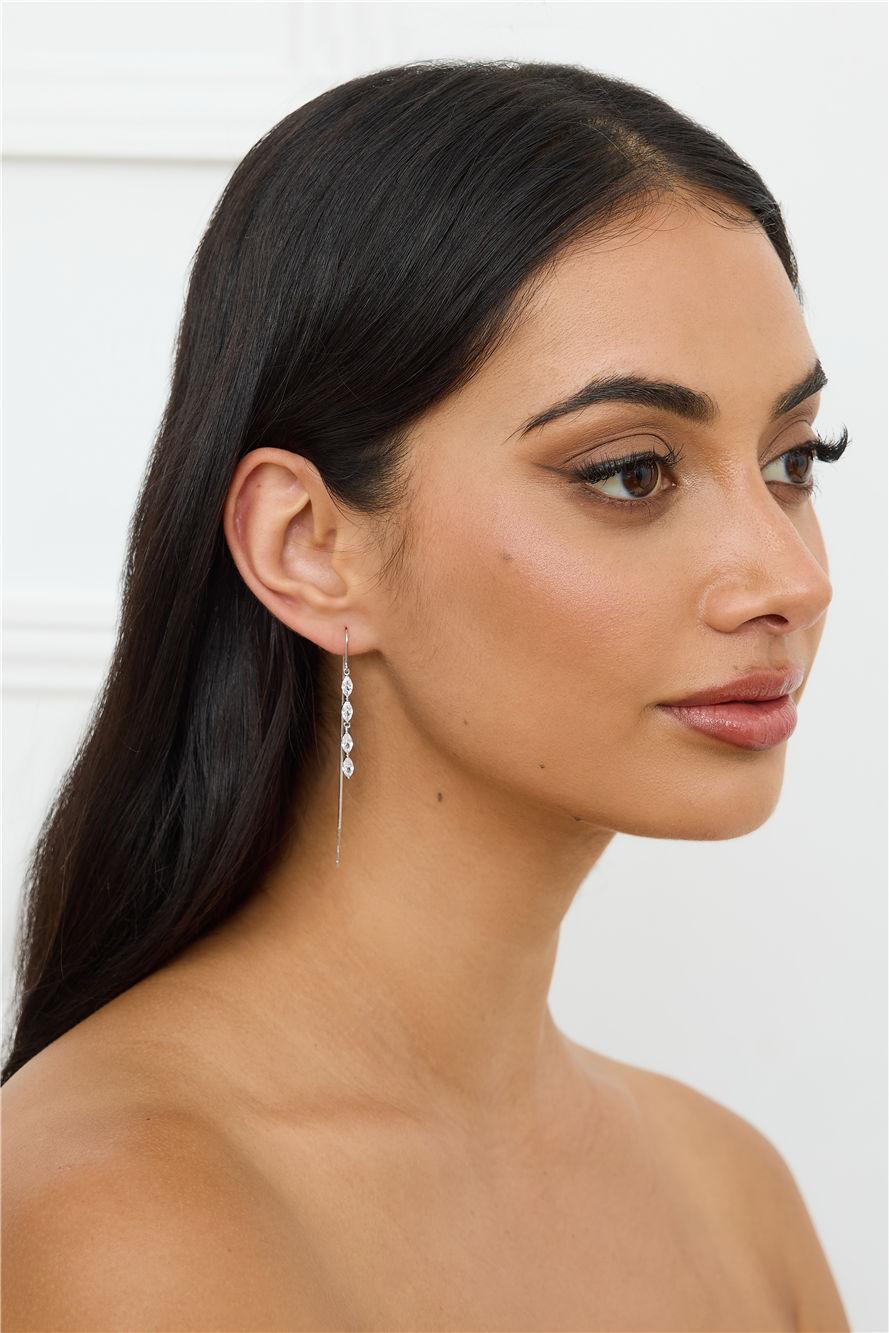 Lifestyle Earrings Silver Product Image