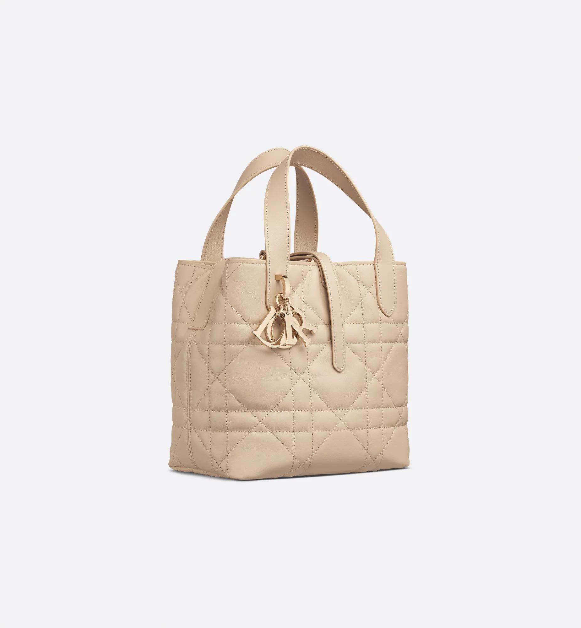 Small Dior Toujours Vertical Tote Bag Product Image