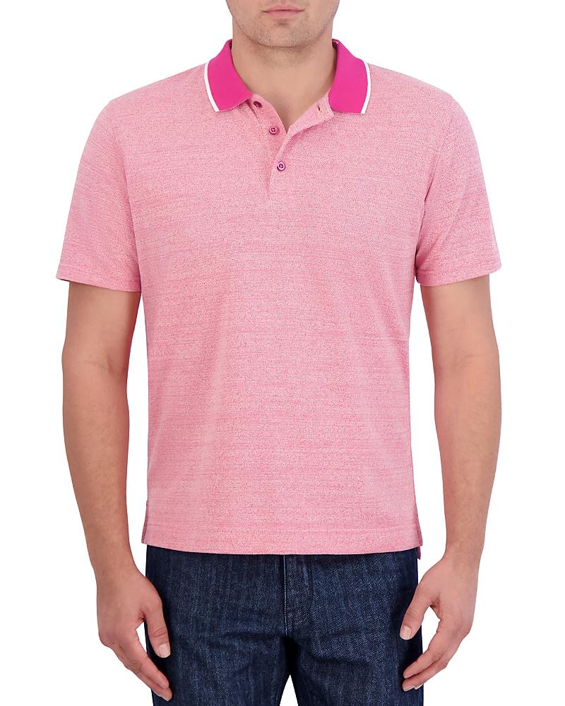 Robert Graham Calmere Cotton Blend Classic Fit Polo Shirt Product Image