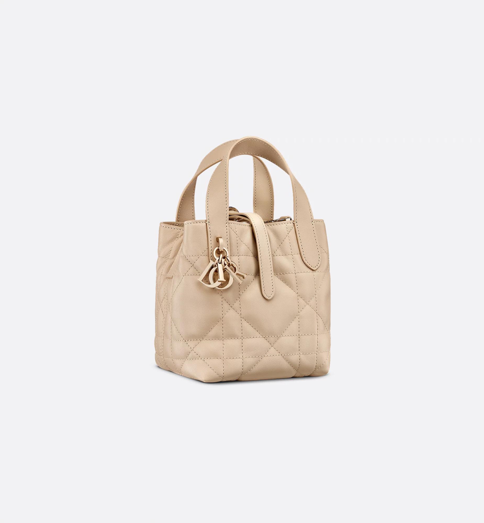 Dior Toujours Vertical Nano Tote Bag Product Image
