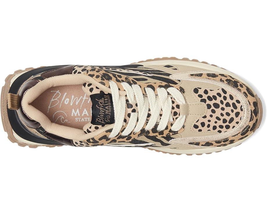 Northshore Lace-Up Product Image