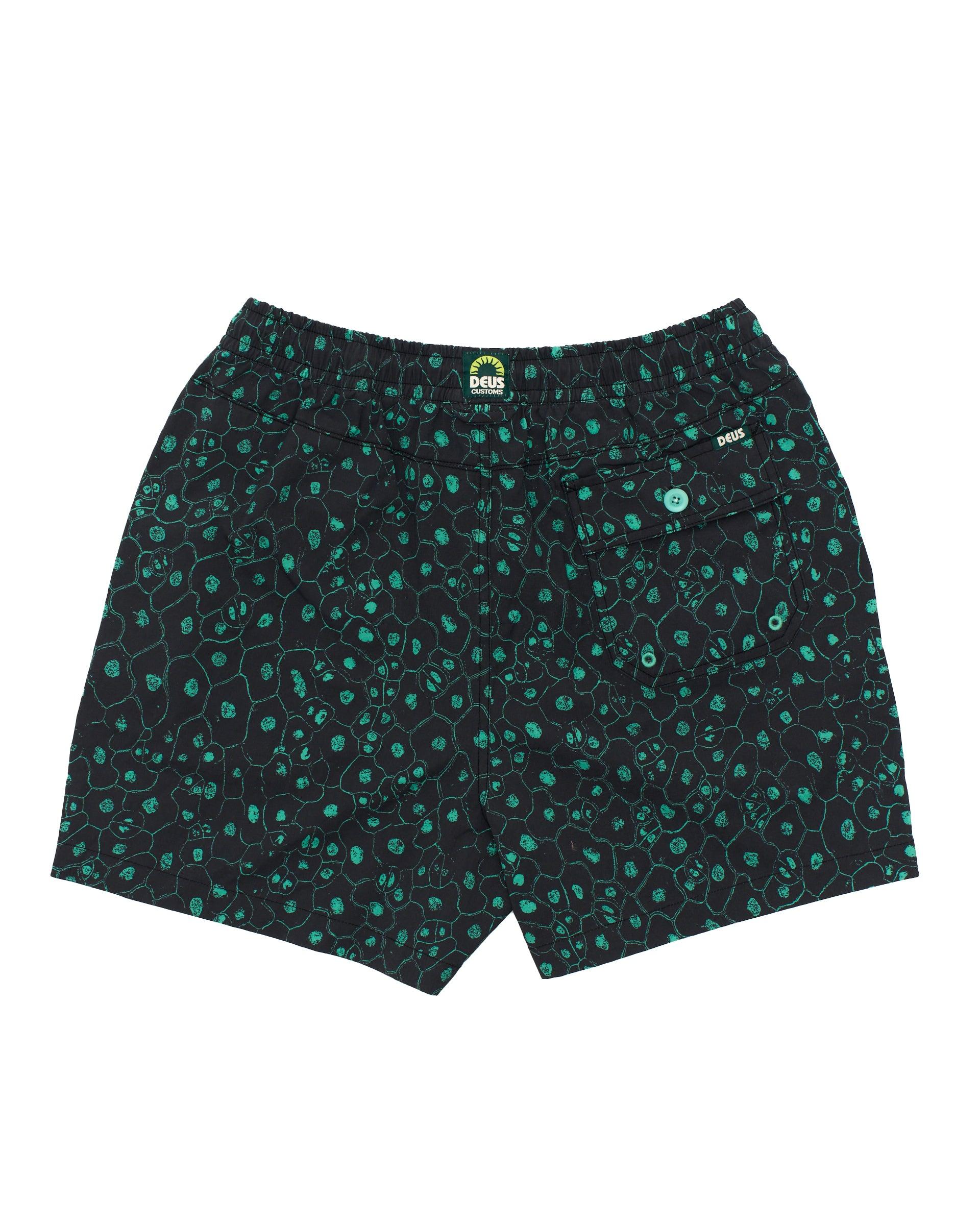 Plant Cell Boardshort (Mesh) - Biscay Green Product Image