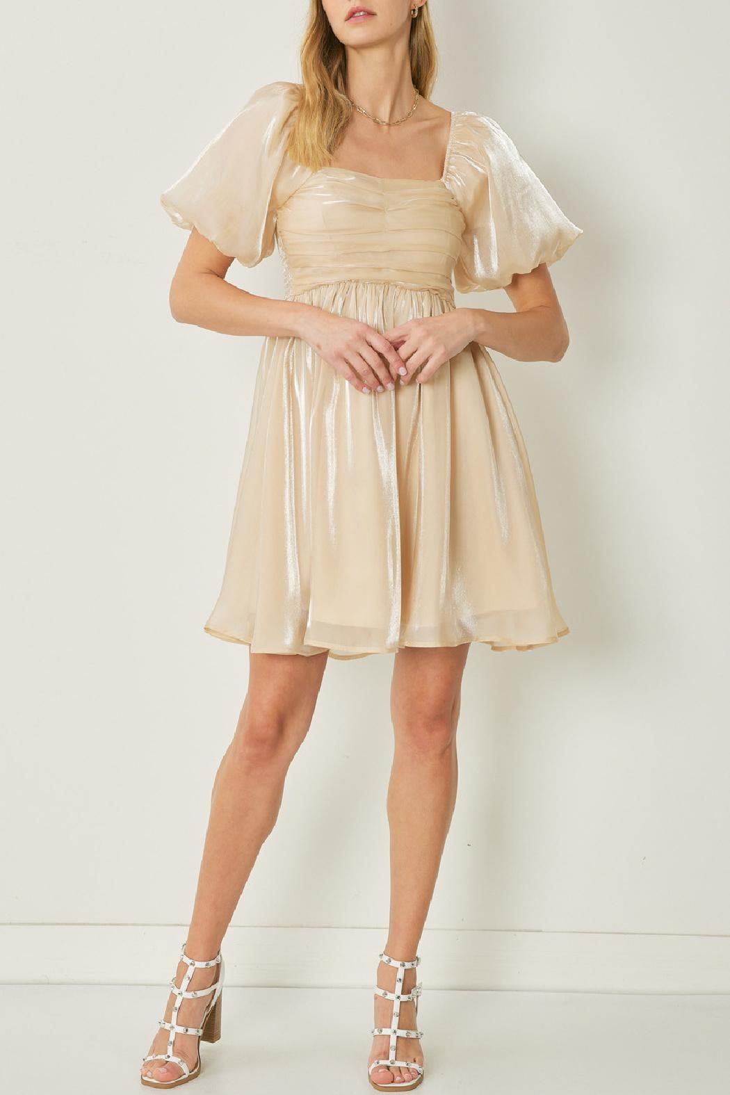 Organza Bubble Sleeve Dress Product Image