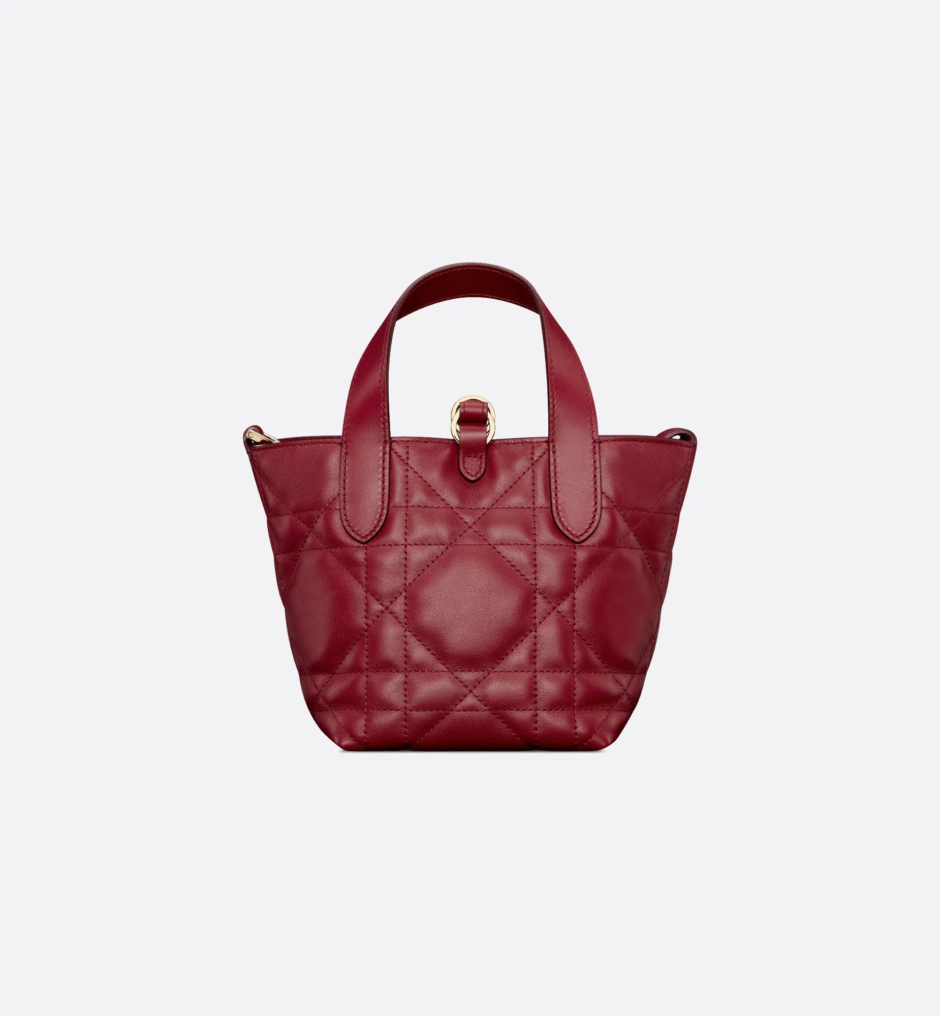 Dior Toujours Vertical Nano Tote Bag Product Image