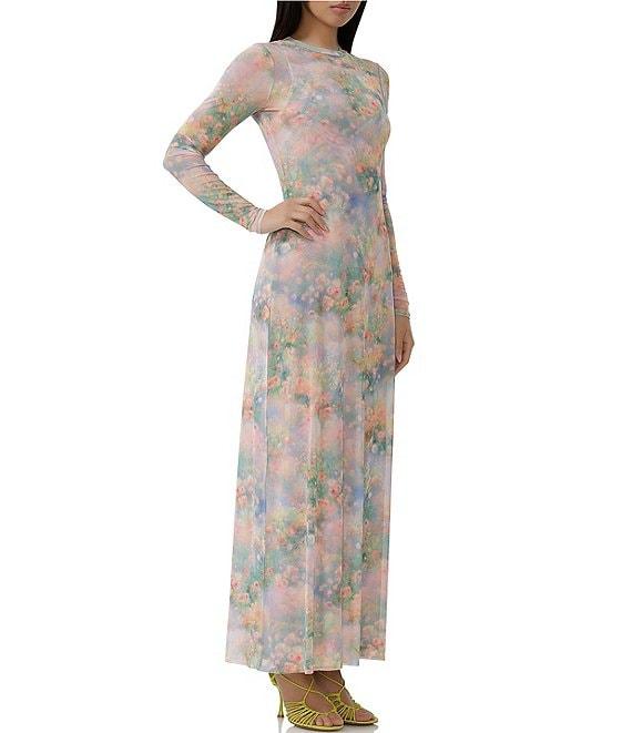 AFRM Paola Floral Print Crew Neck Long Sleeve Ankle Mesh Maxi Dress Product Image