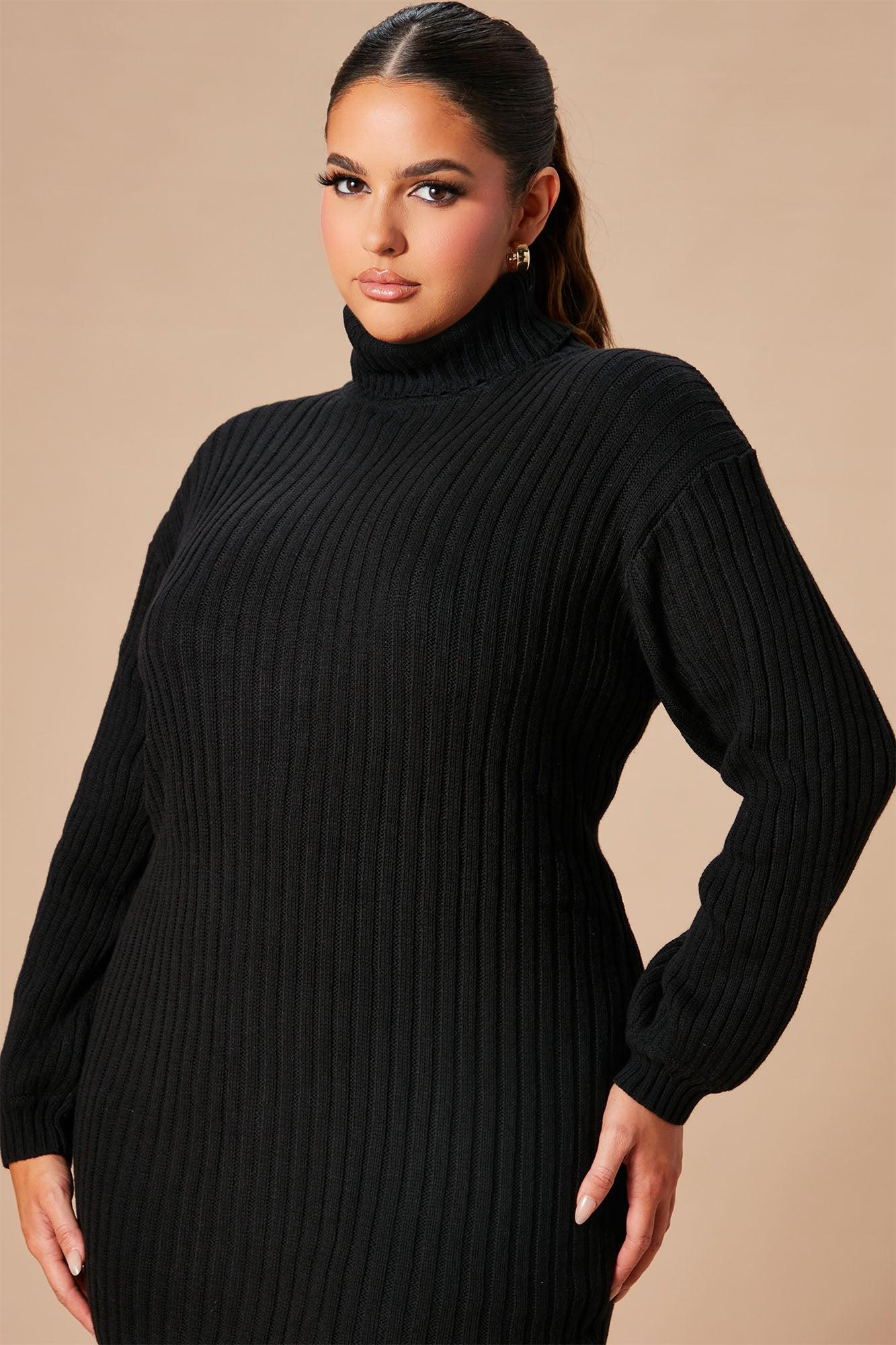 Too Cozy Turtle Neck Sweater Dress - Black Female Product Image
