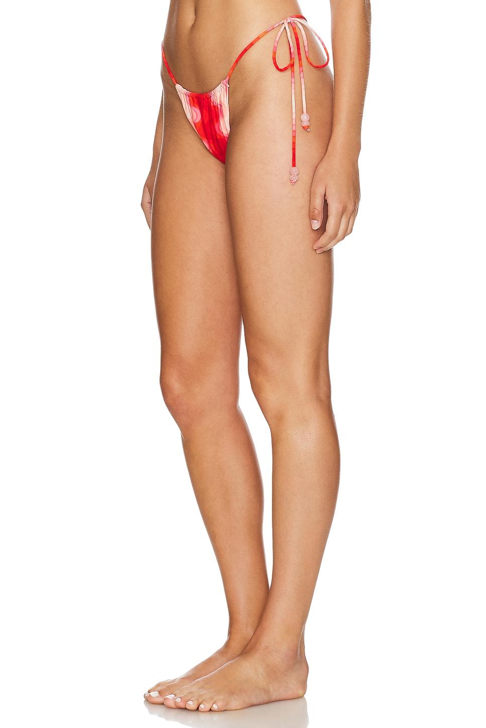 Livia Bikini Bottom DEVON WINDSOR Product Image