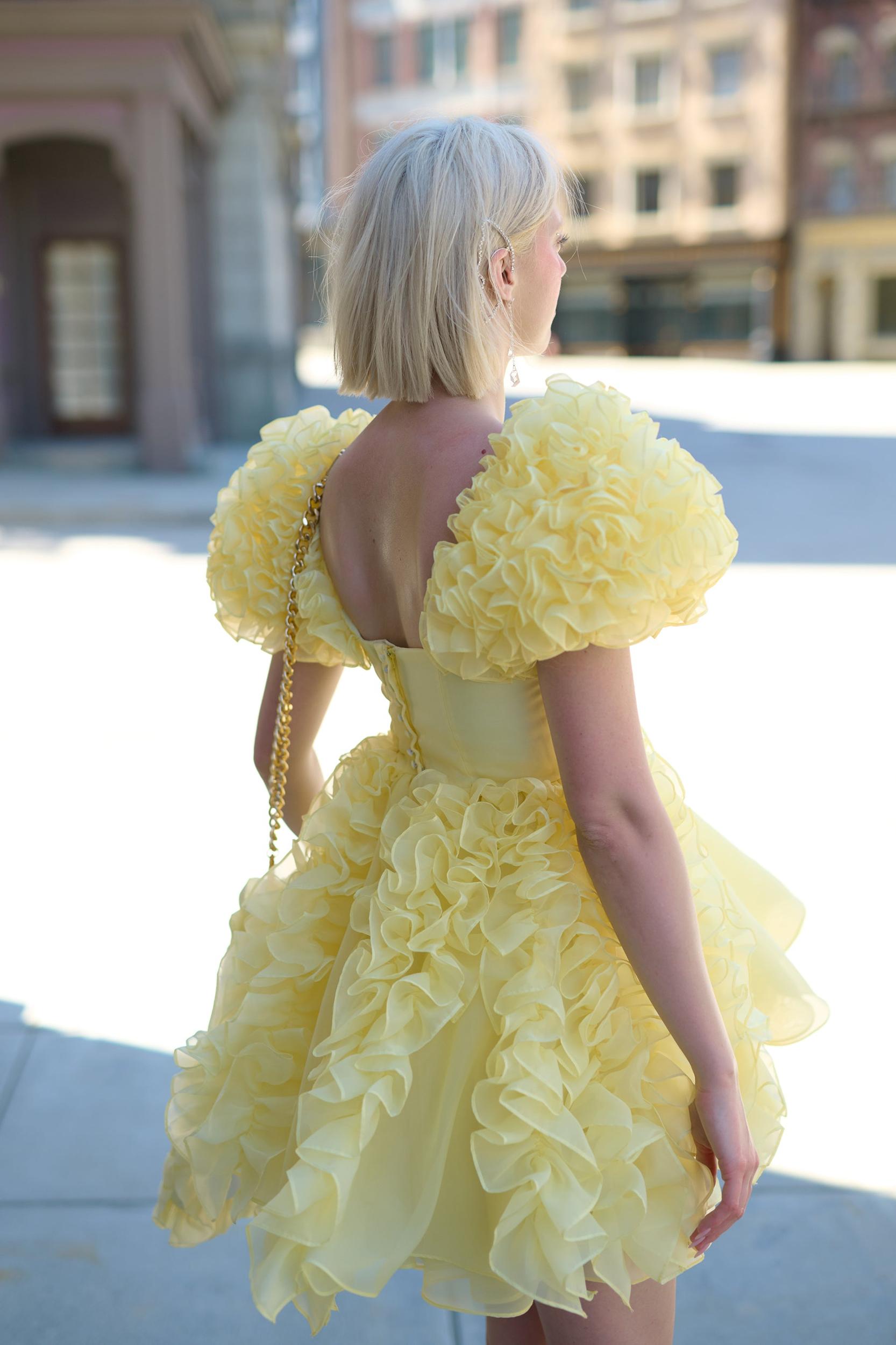 The Twinkie Paris Dress Product Image