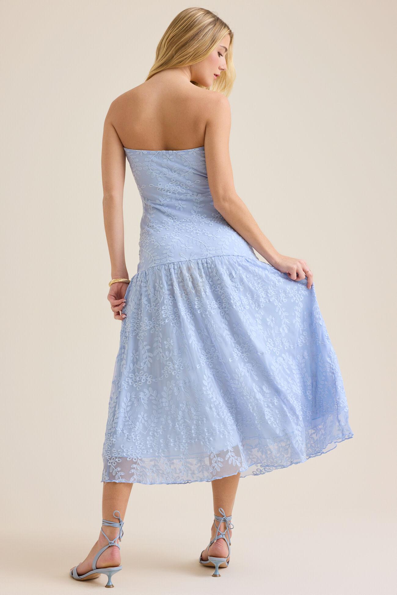 Mira Mesh Maxi Dress Product Image