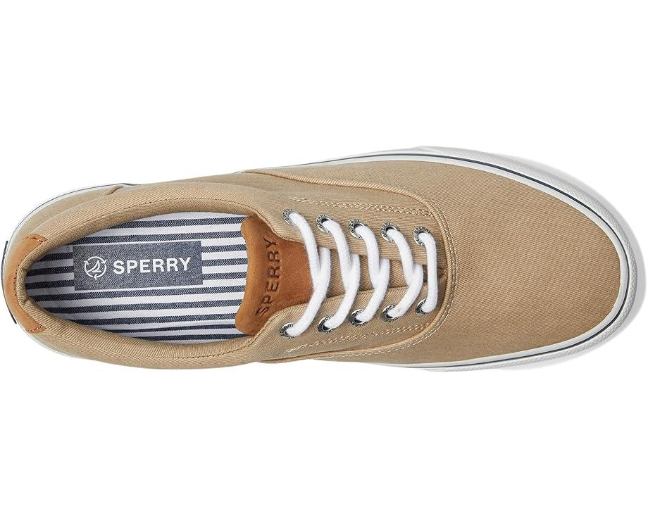 CVO Canvas Product Image