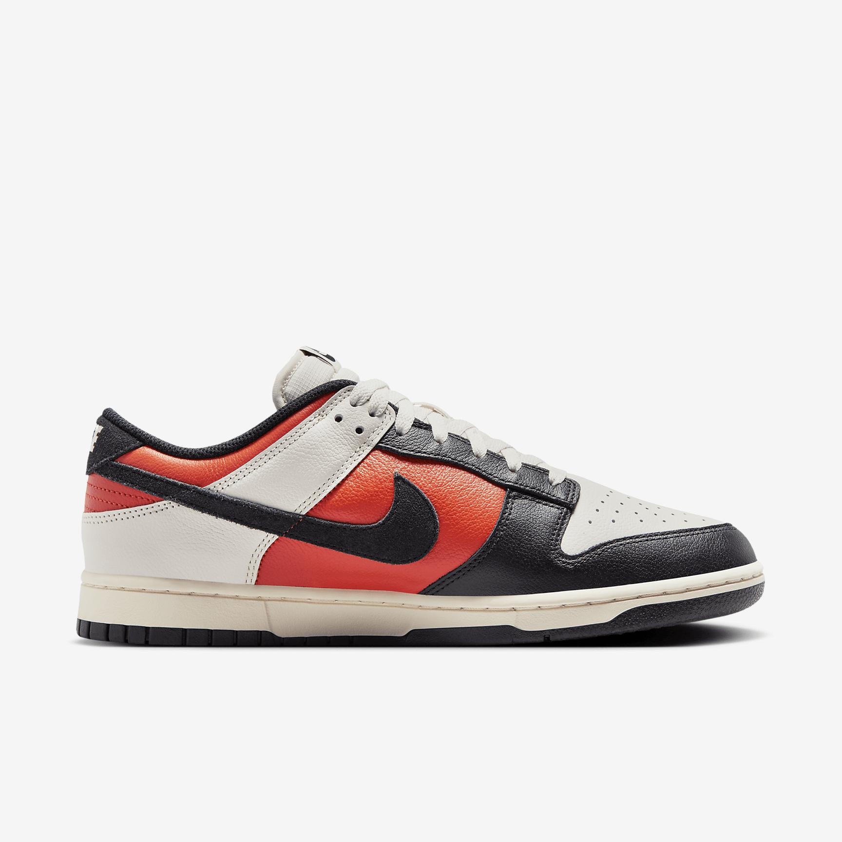 Nike Mens Dunk Low Retro SE Leather/Suede Shoes | FQ8249-101 Product Image