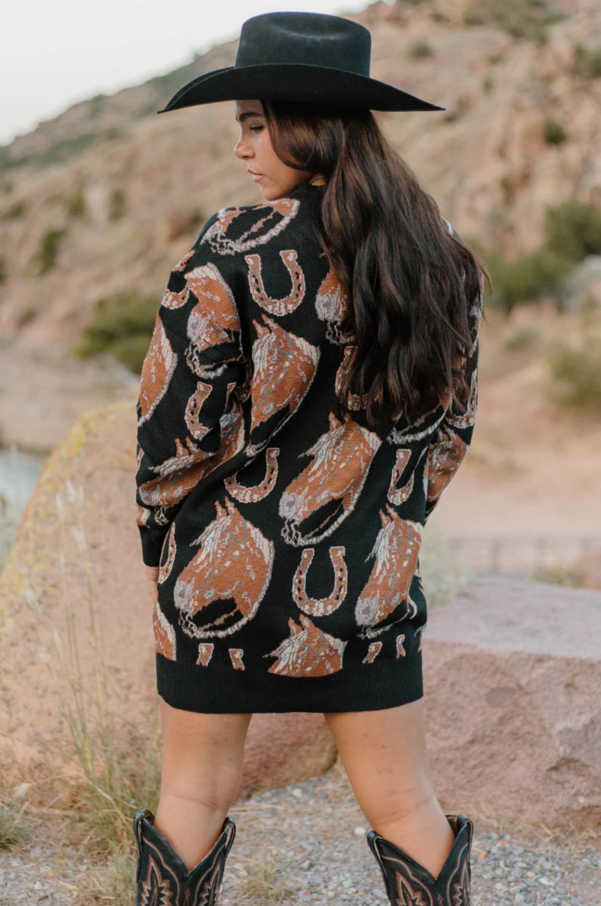 Sterling Kreek The Ruidoso Sweater Dress Product Image