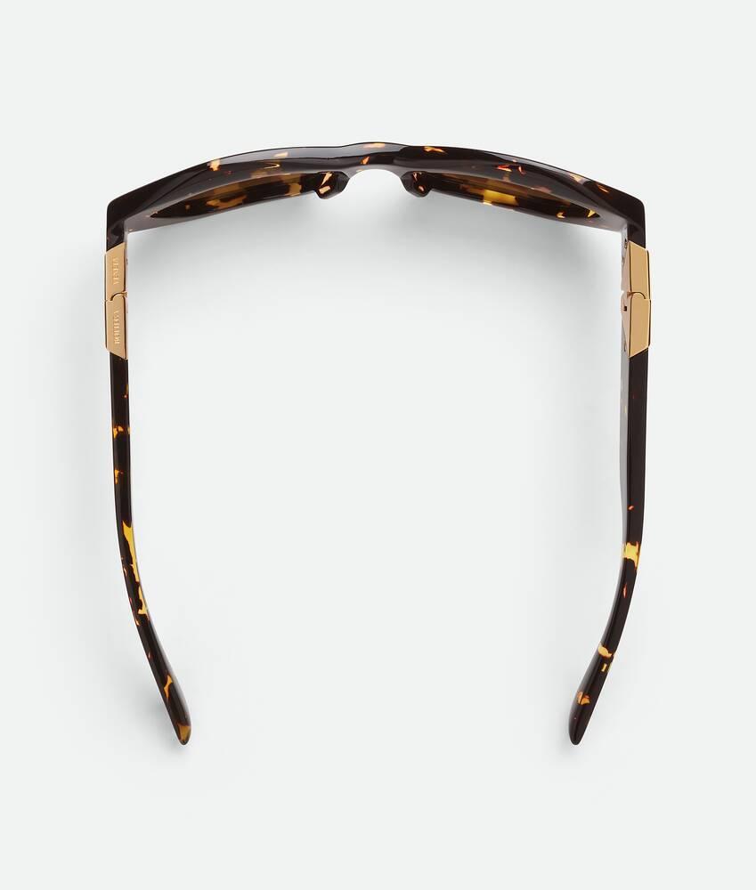 Women's Angle Hexagonal Sunglasses in Havana / Brown Product Image