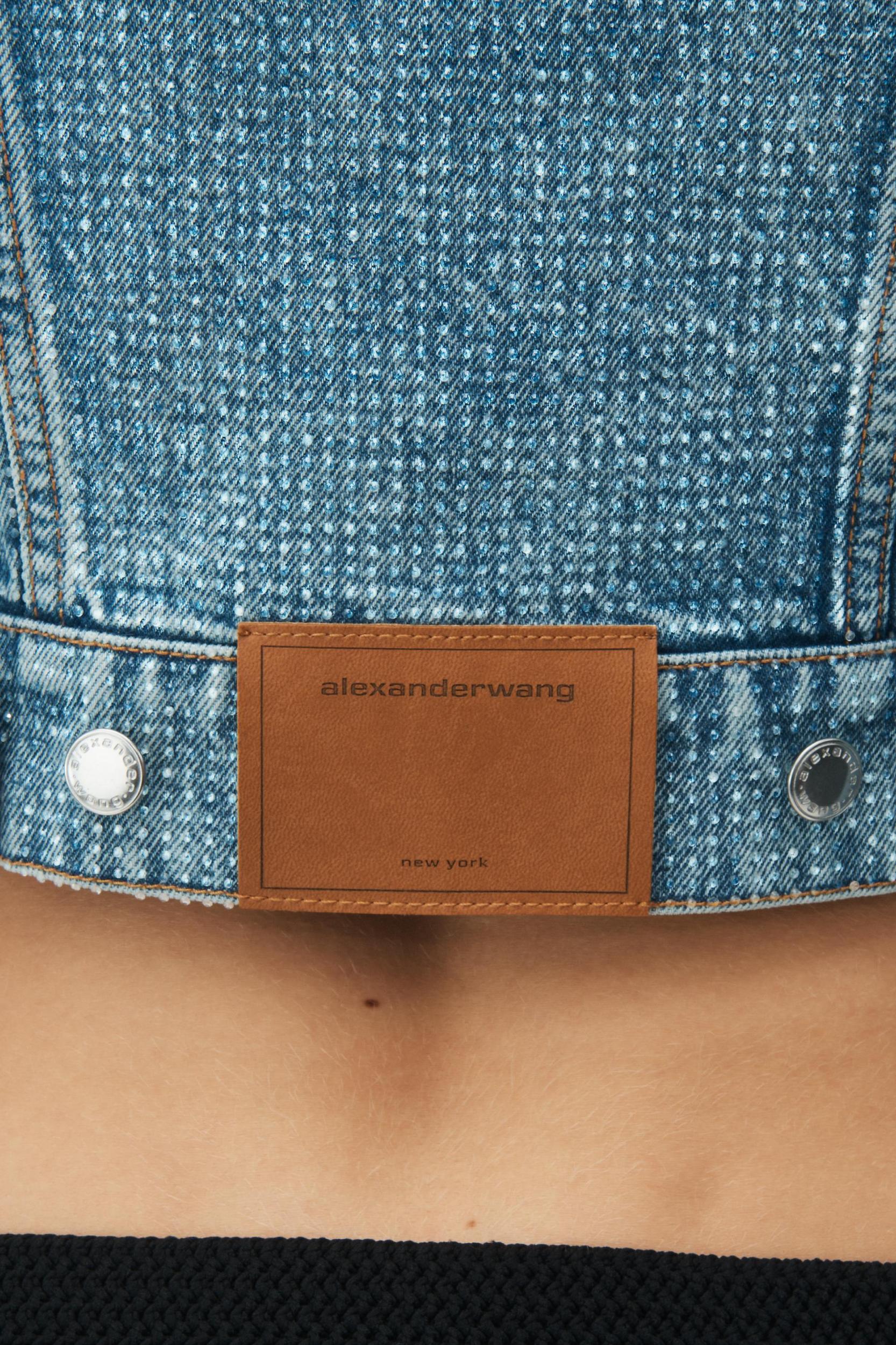 Cropped Denim Trucker Jacket In Clear Hotfix Product Image